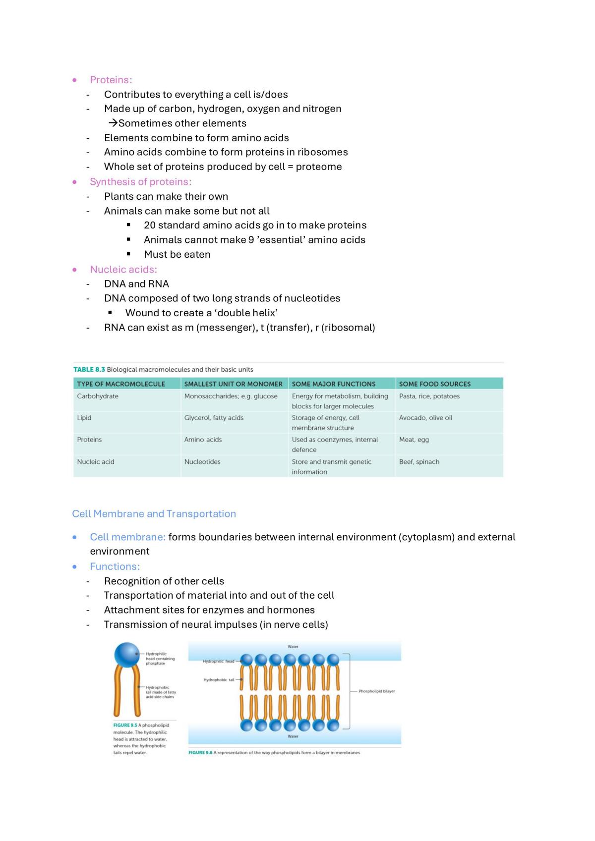 Biology Unit 1 + 2 Notes - Page 27