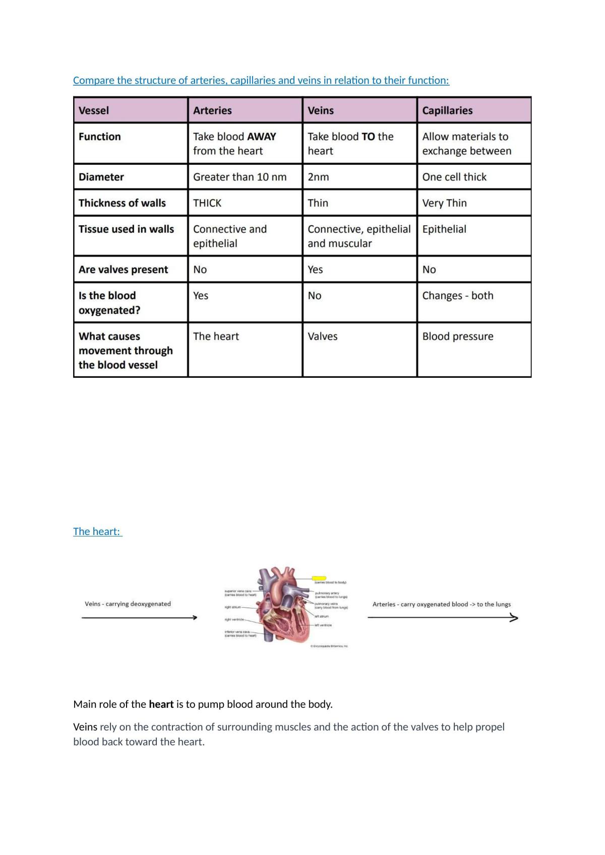Year 11 Bio Notes  - Page 12