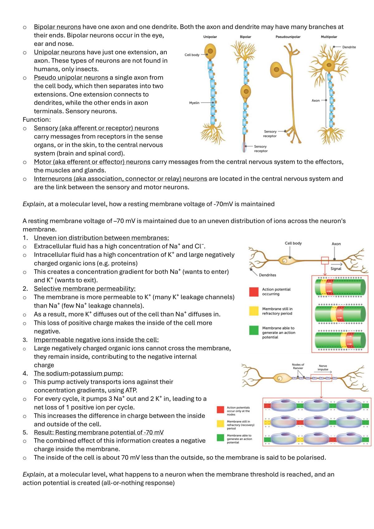 Human Bio U3&4 Notes and Palm Cards - Page 2