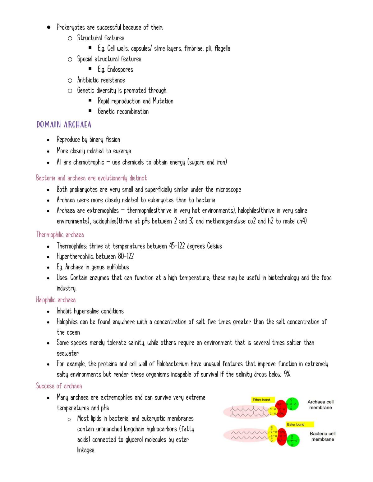 Microkingdom Full Notes - Page 10