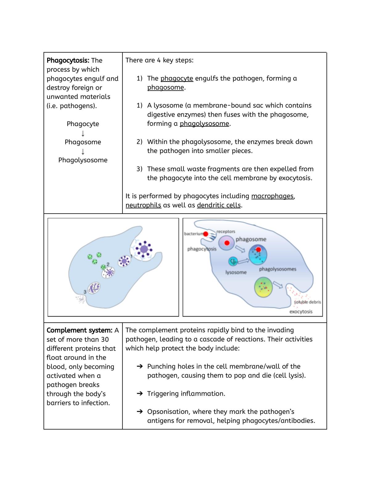 Yr 12 Biology - Module 7 Notes - Page 15