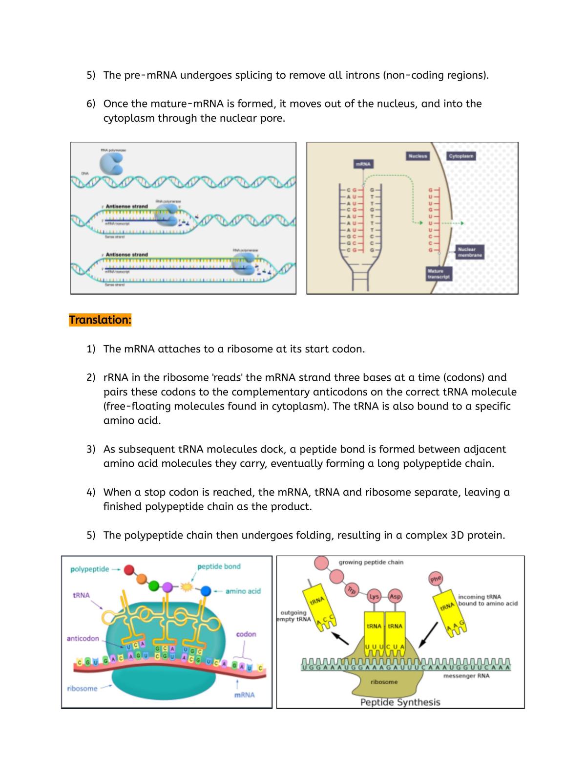 Yr 12 Biology - Module 7 Notes - Page 20