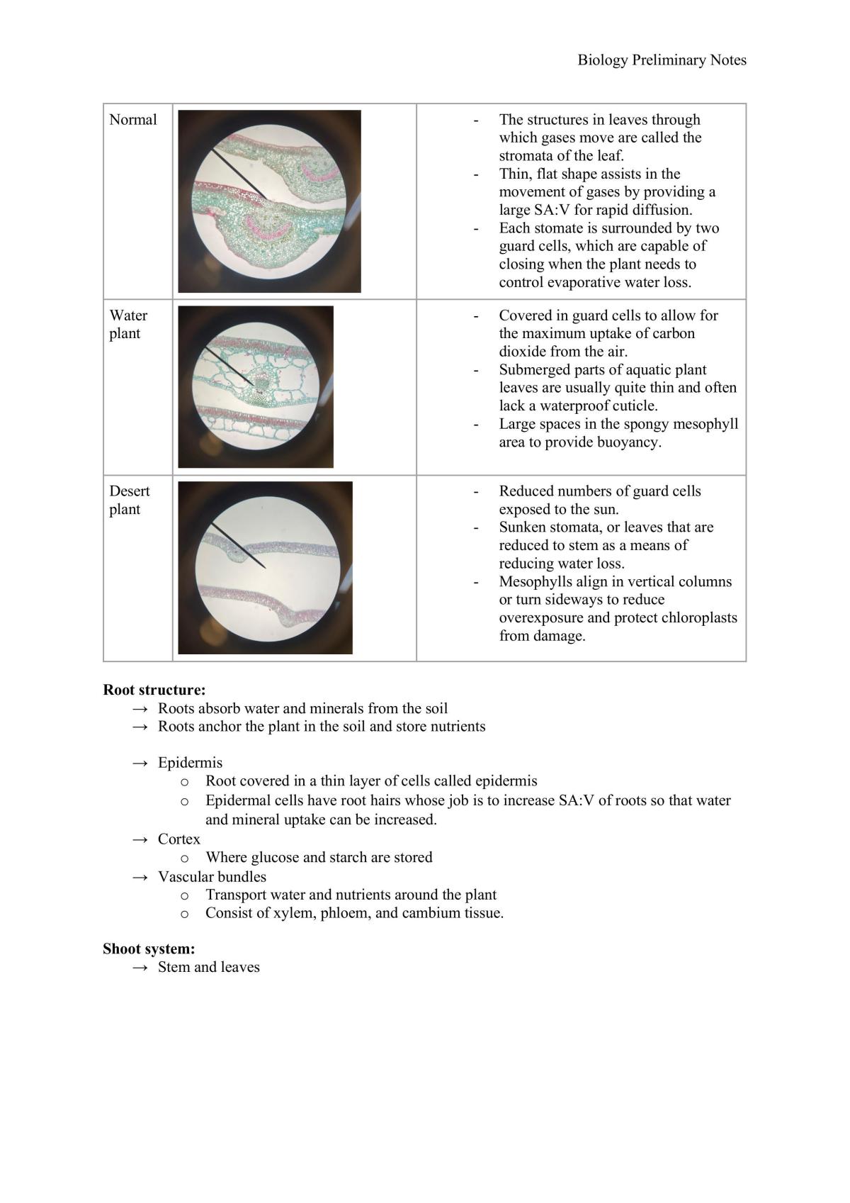 Biology Prelim Notes - Page 15