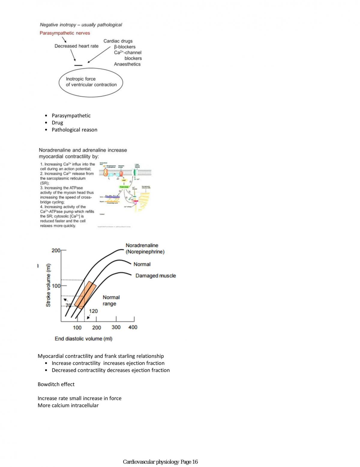 Complete Lecture Notes on Cardiovascular System  - Page 16