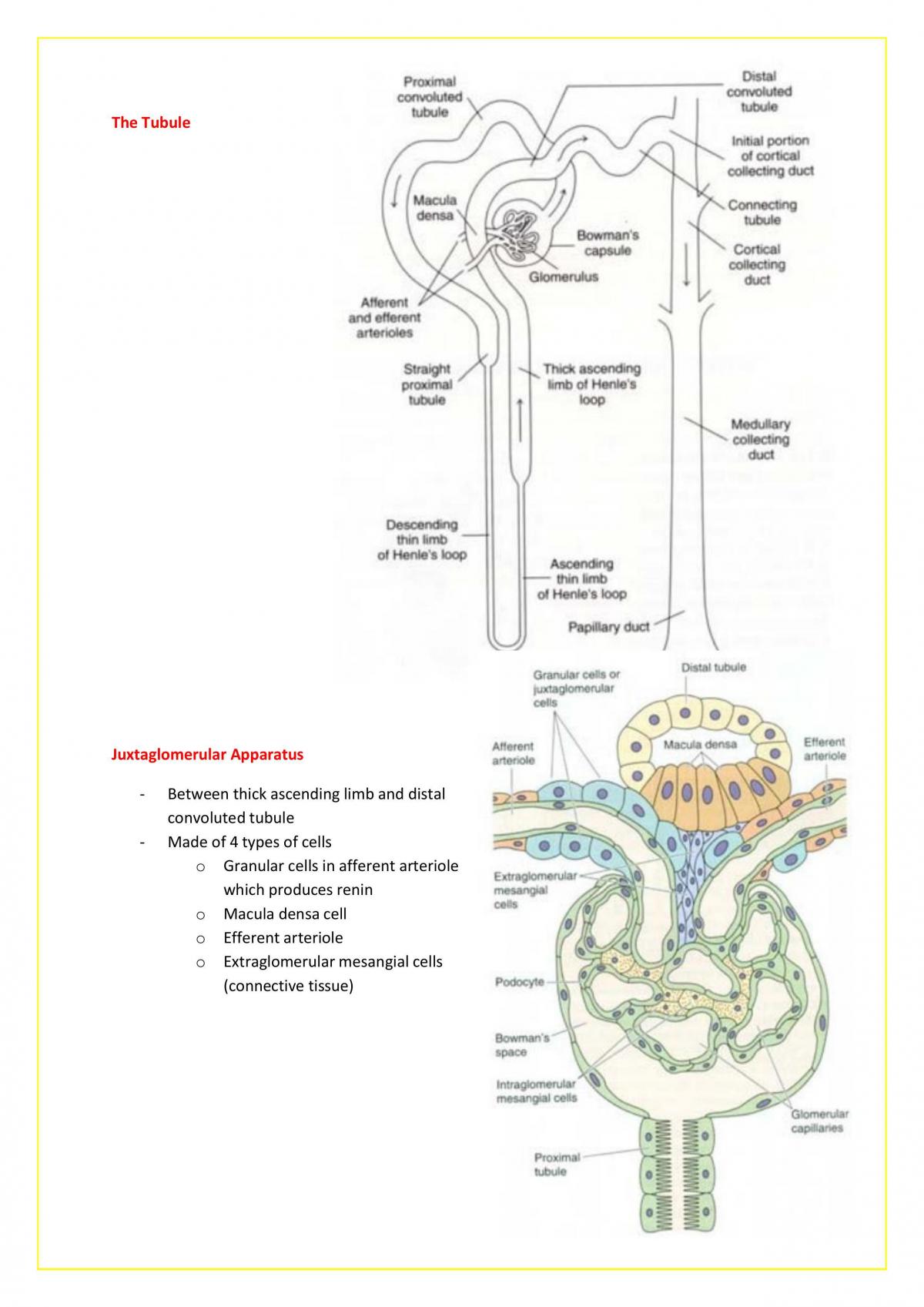 Course Notes for Final Exam - Page 51