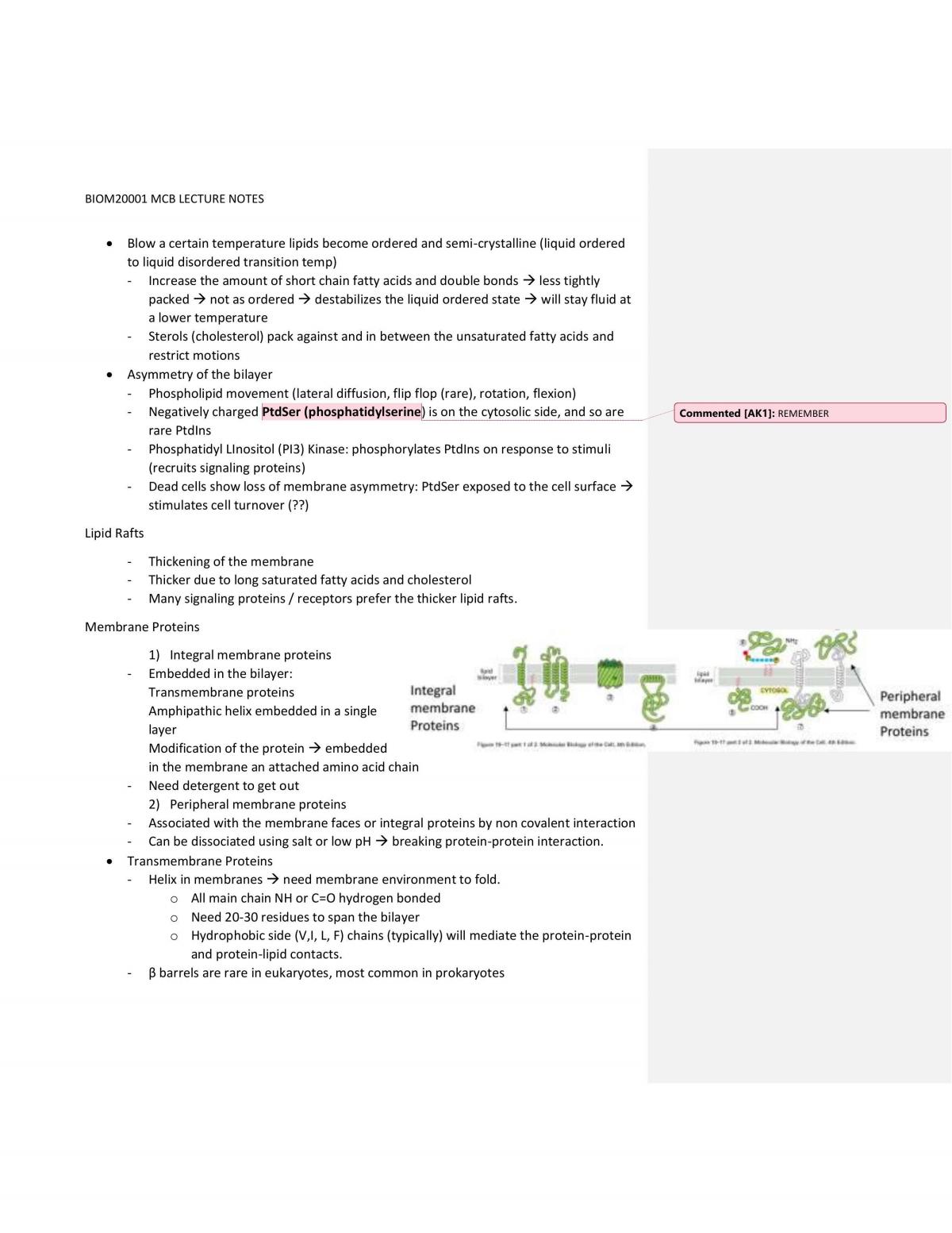 Molecular and Cellular Biomedicine  - Page 20