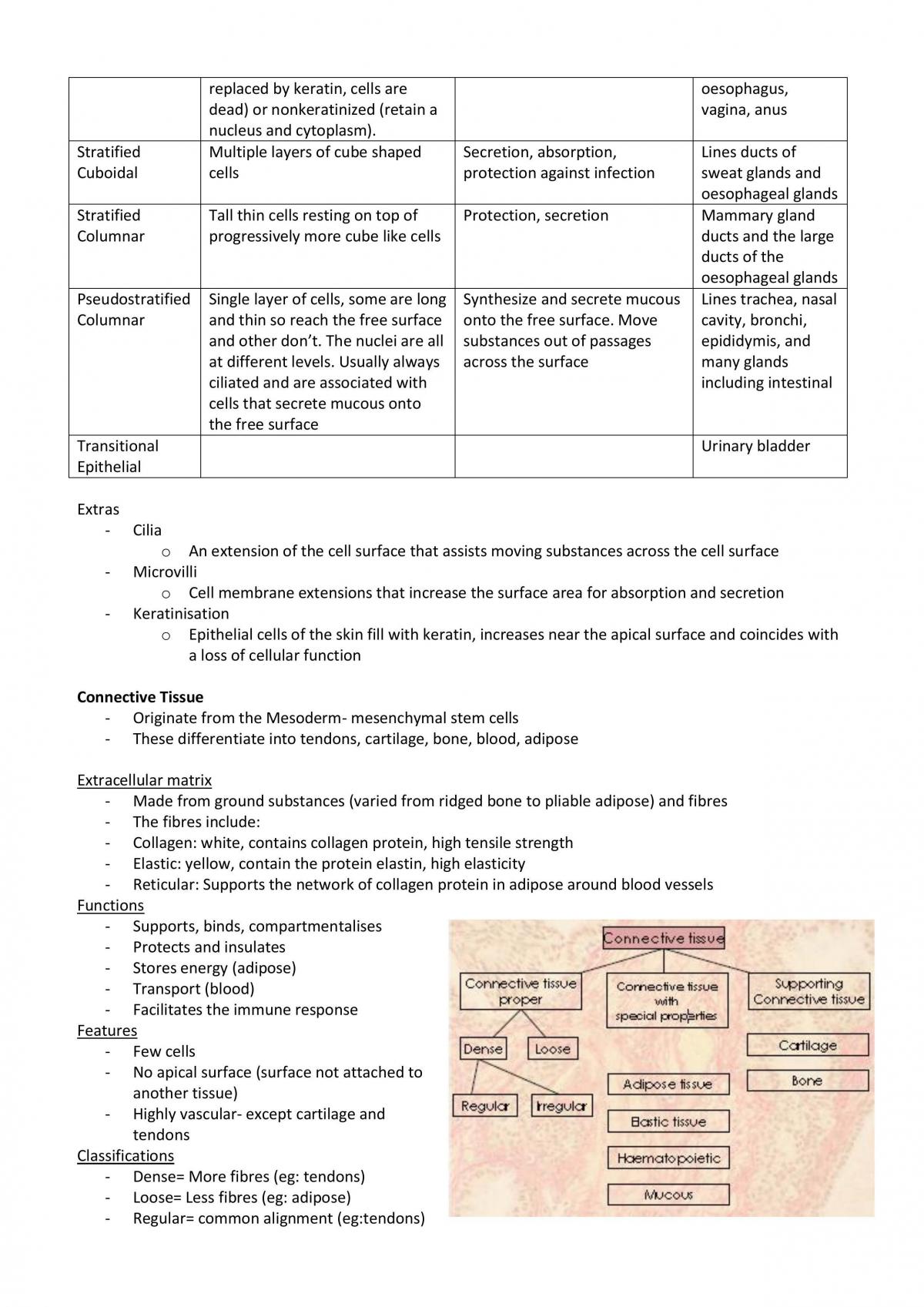 Human Structure and Function - Compendium 1-3 - Page 11
