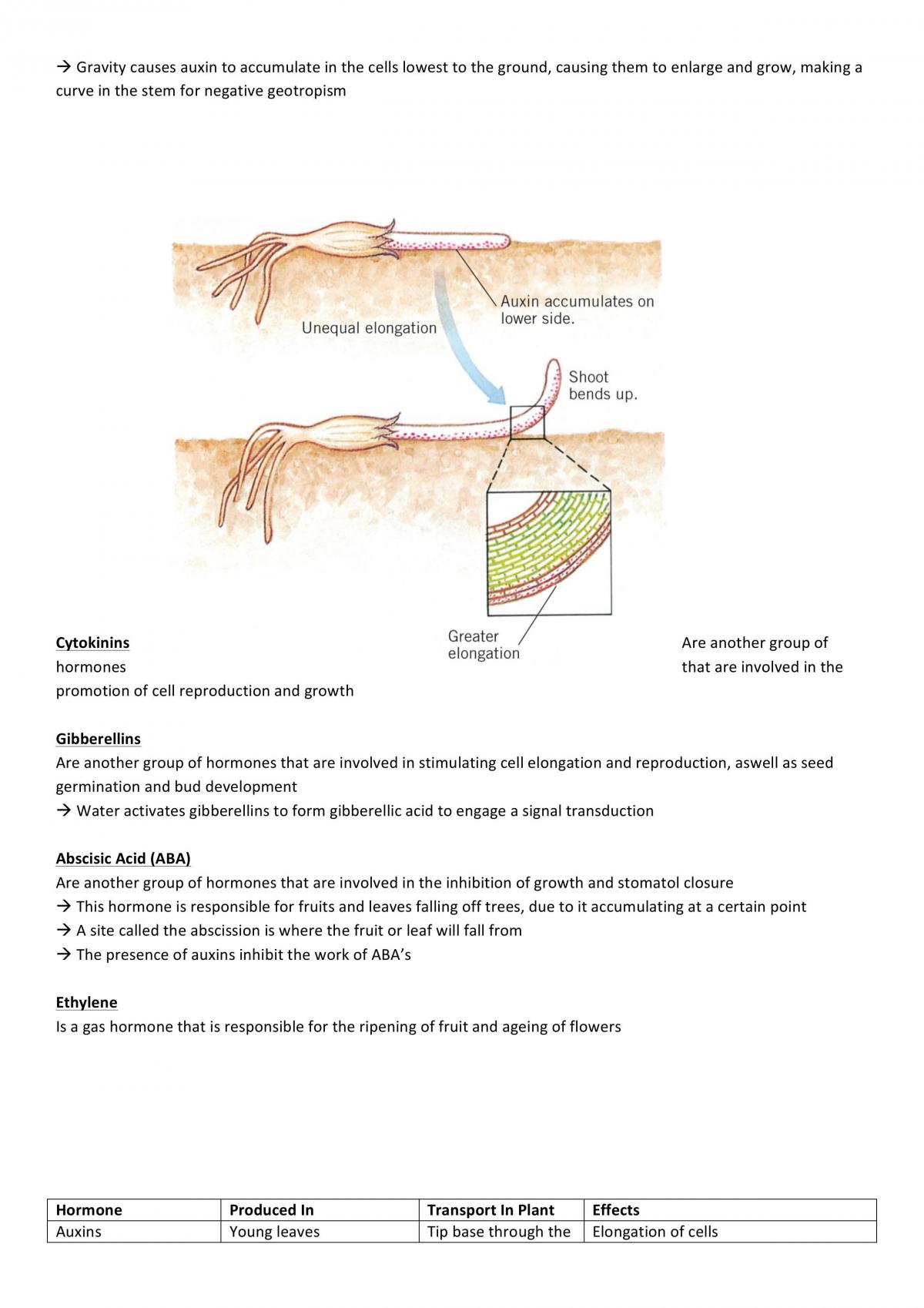 Biology Unit 3 Summary Notes - Page 30