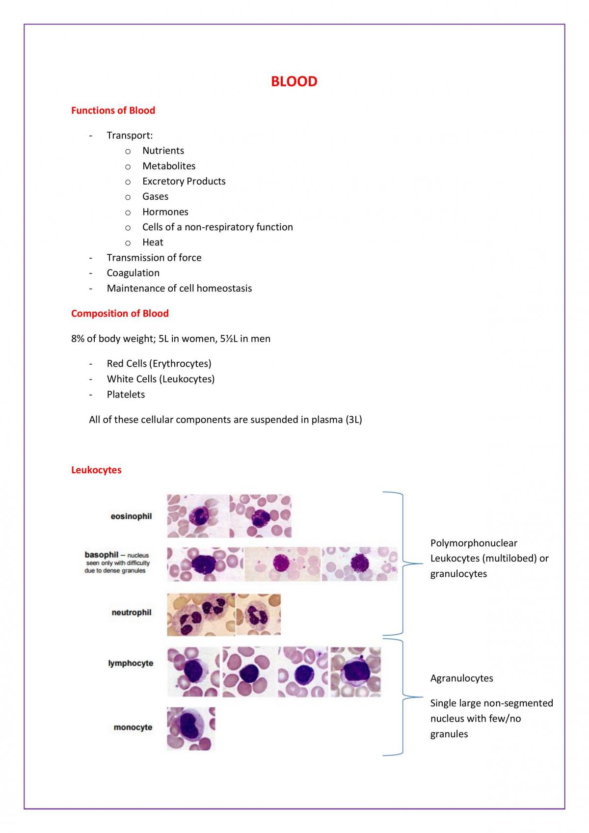 Physiology Final Exam Notes - Page 2