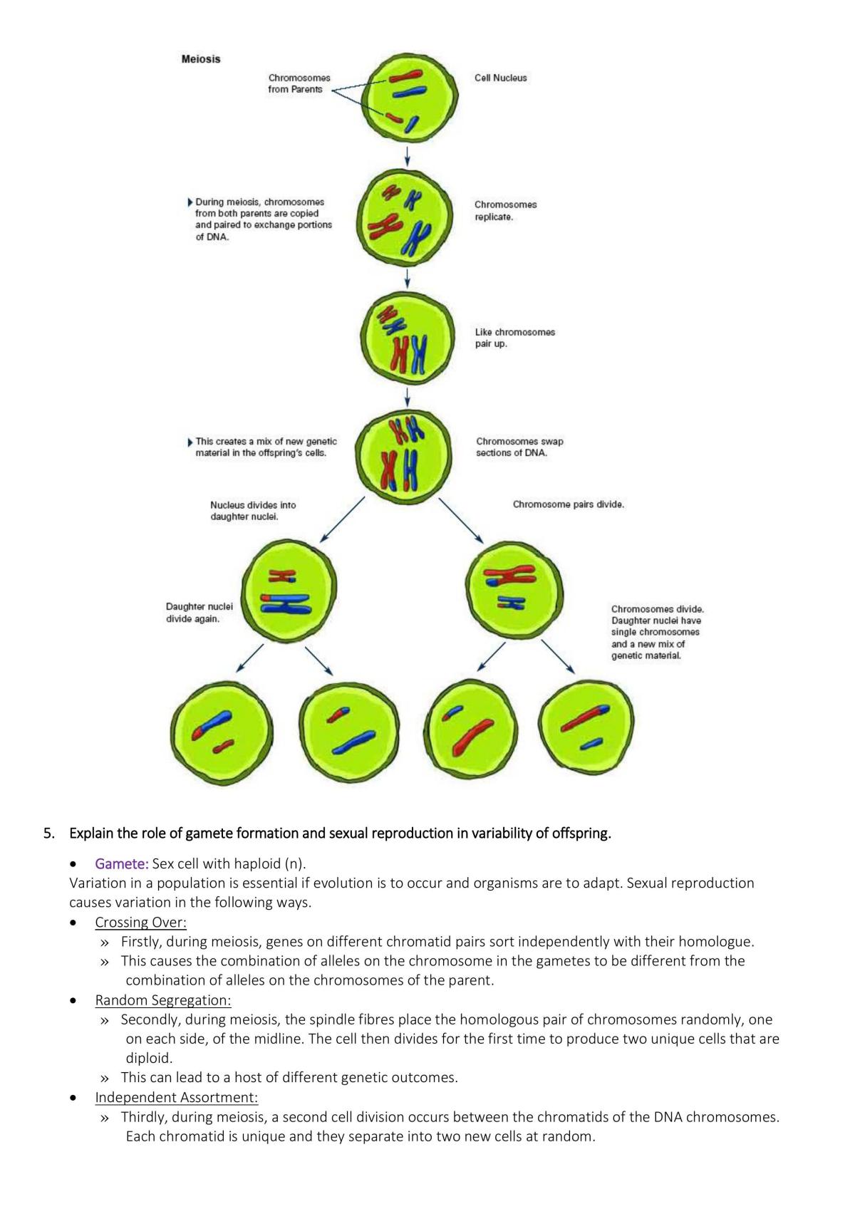 Topic  1 The Blueprint of Life - Page 11
