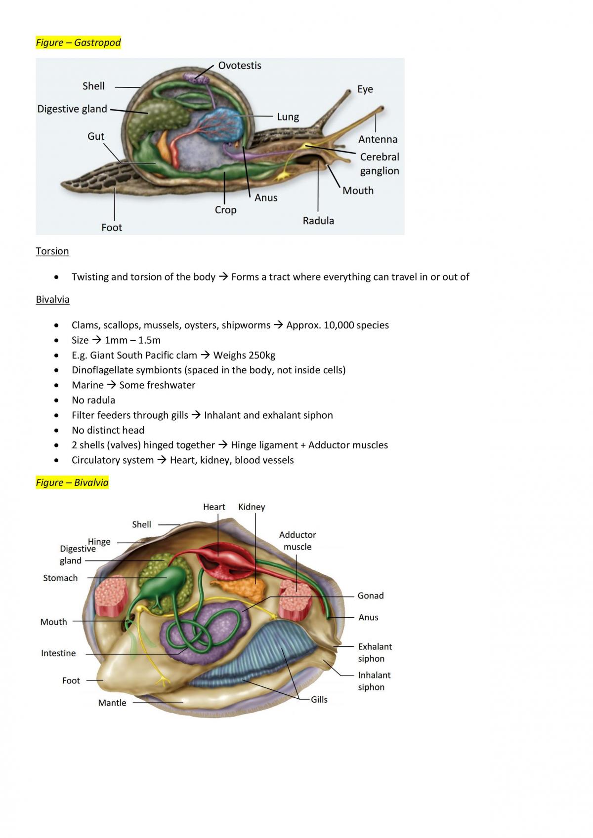 Biodiversity Notes Weeks 10-14 - Page 23