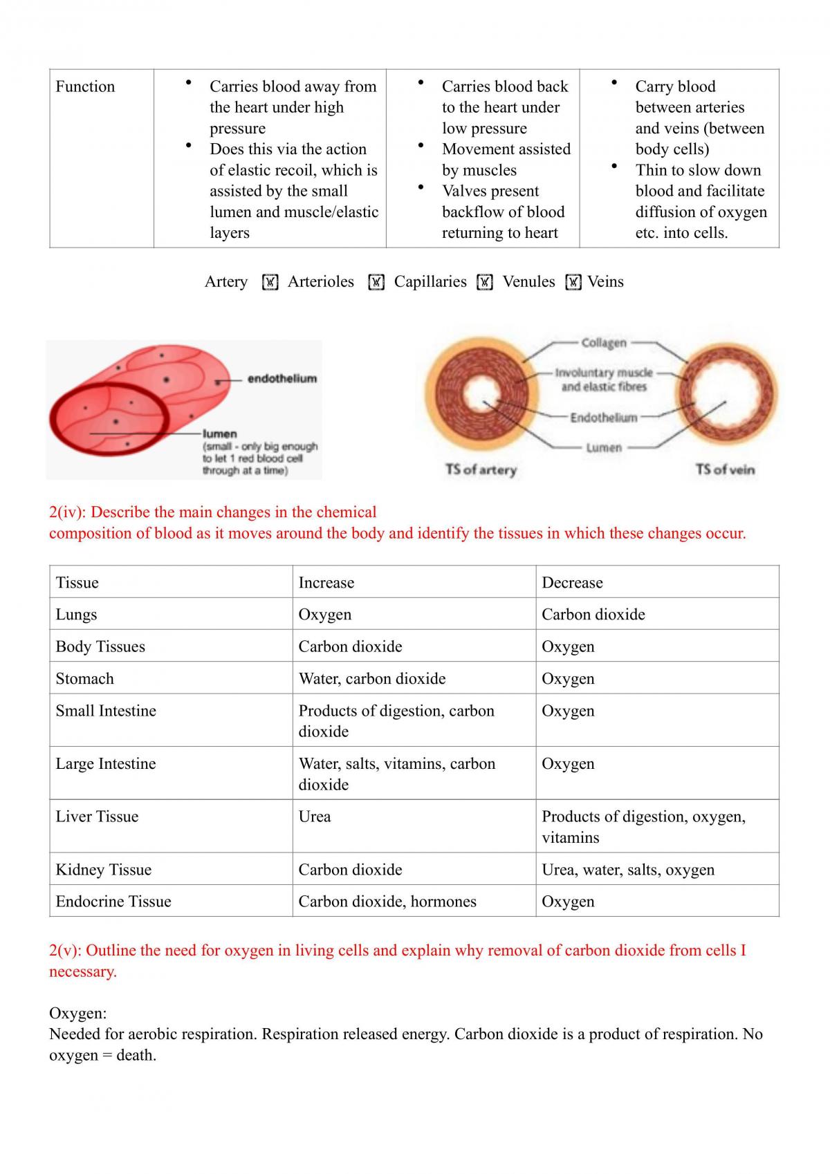 Maintaining a Balance Notes - Page 13