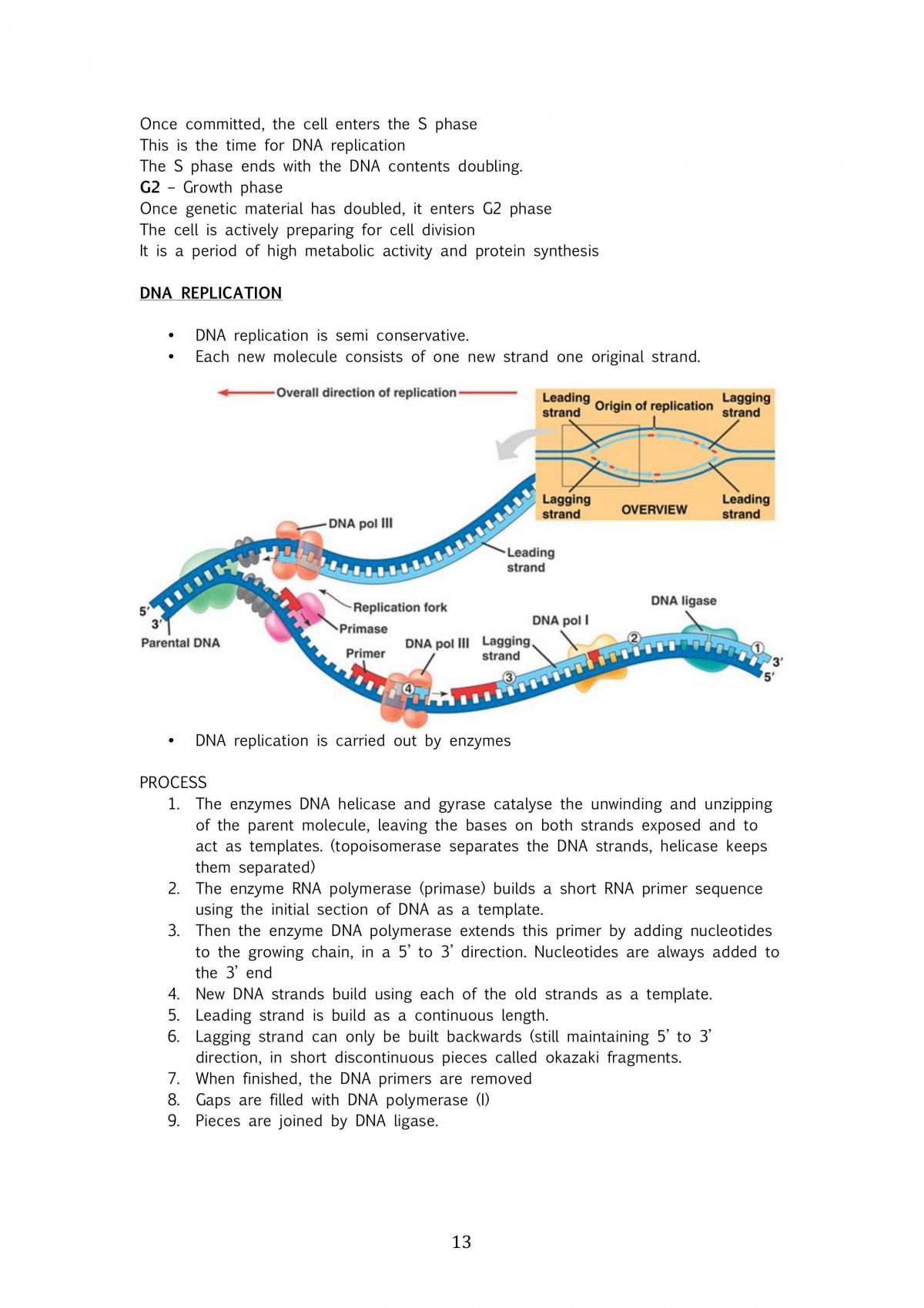 Biology Unit 4 notes - Page 13