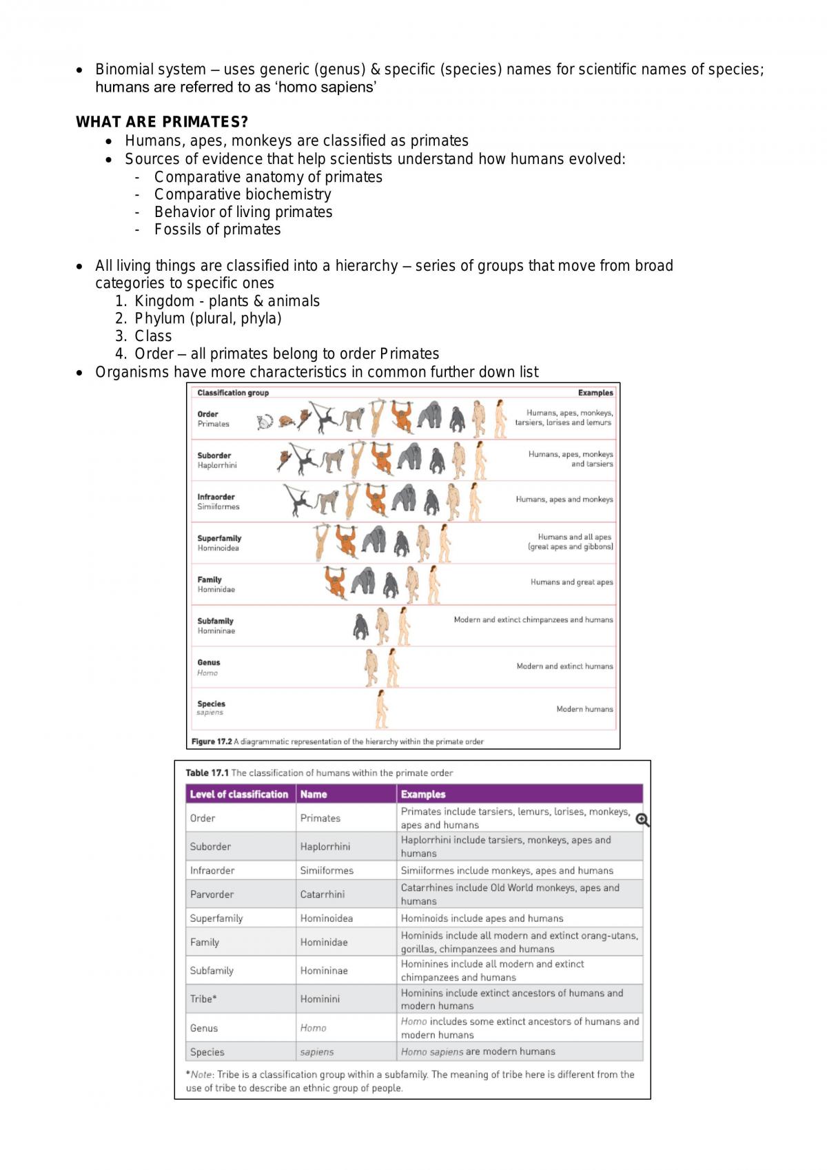 Evolution Notes - Page 11