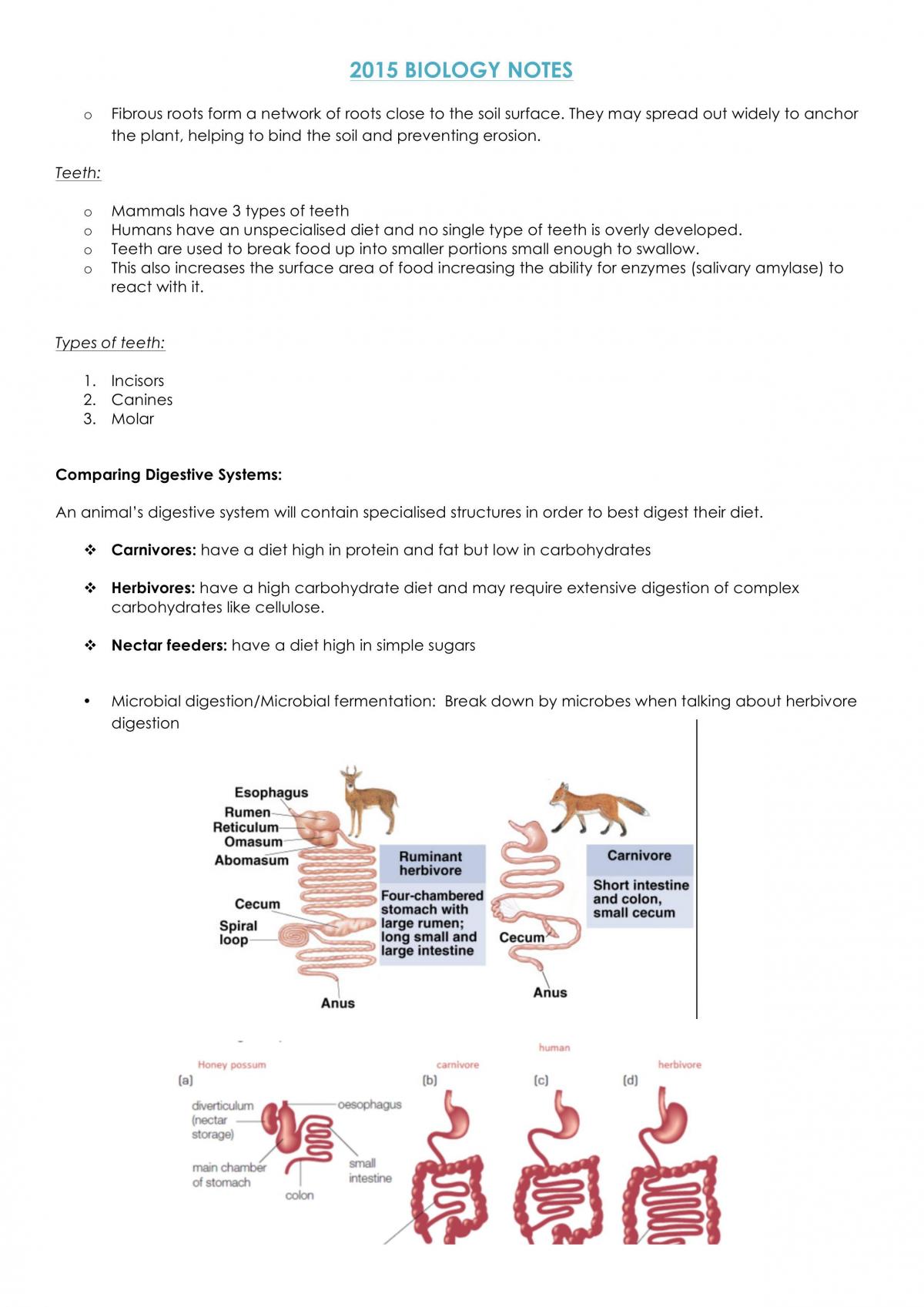 Patterns In Nature & A Local Ecosystem Complete Notes - Page 12