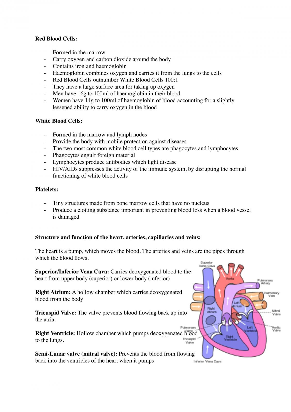 The Body in Motion Complete Study Notes - Page 11