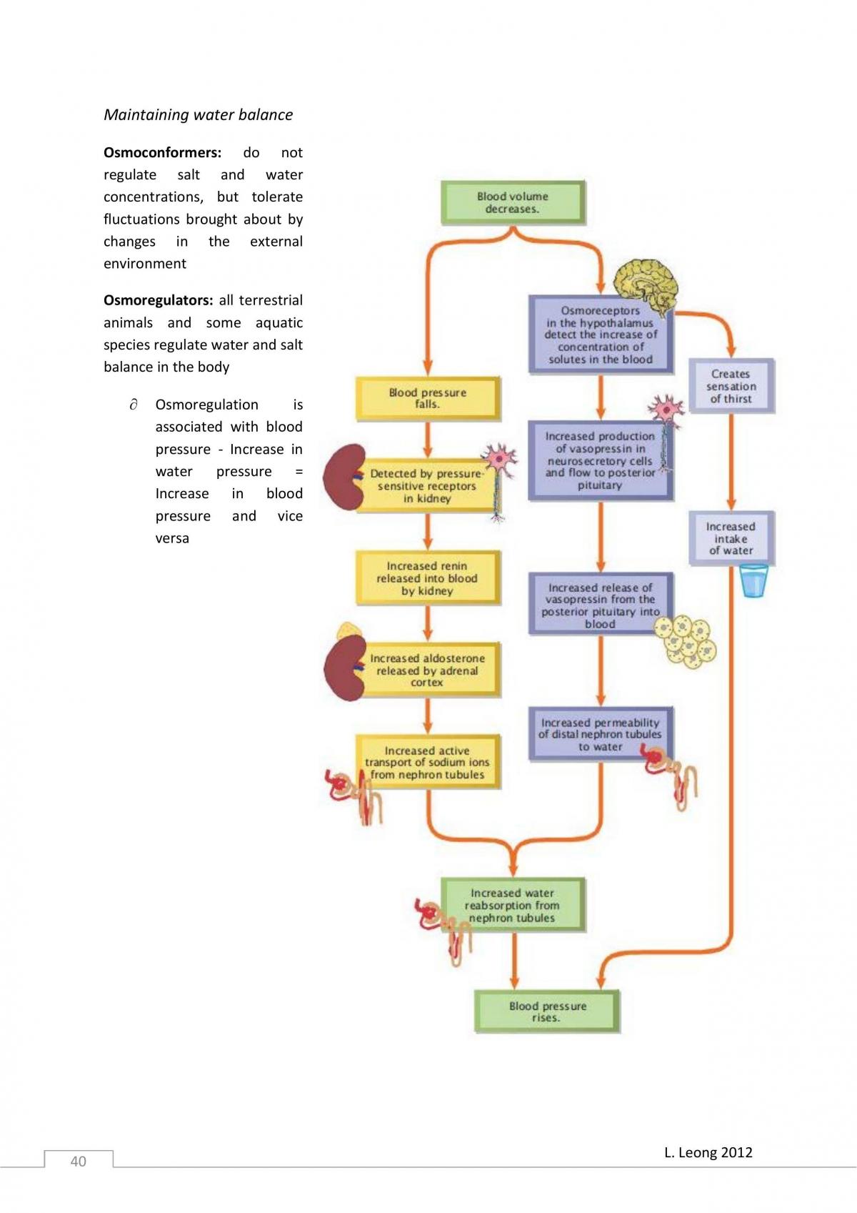 Biology God Notes  - Page 40