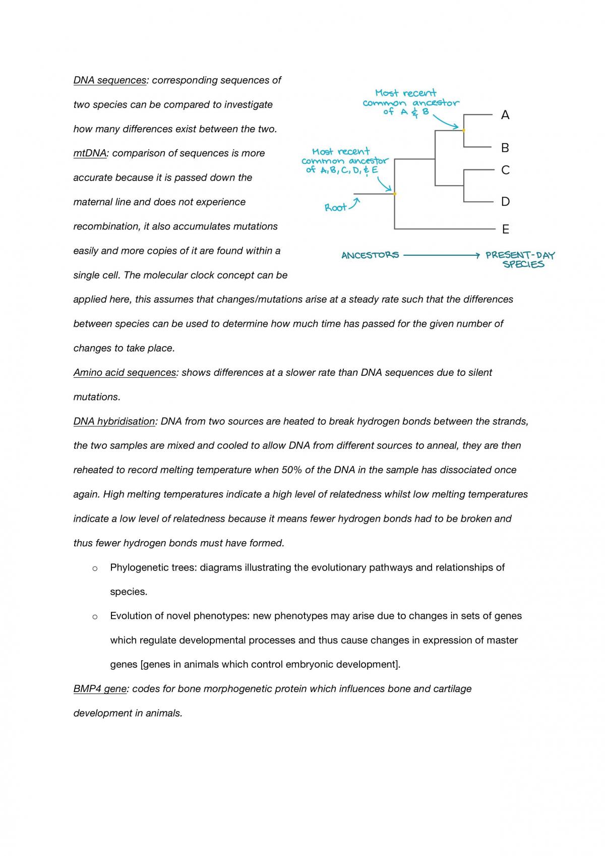 Study Design Based Notes - Biology - Page 15