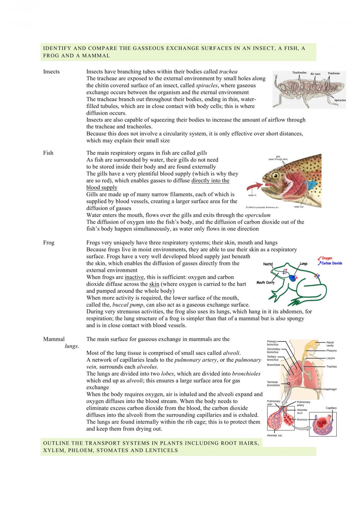 Prelim Biology Notes  - Page 18