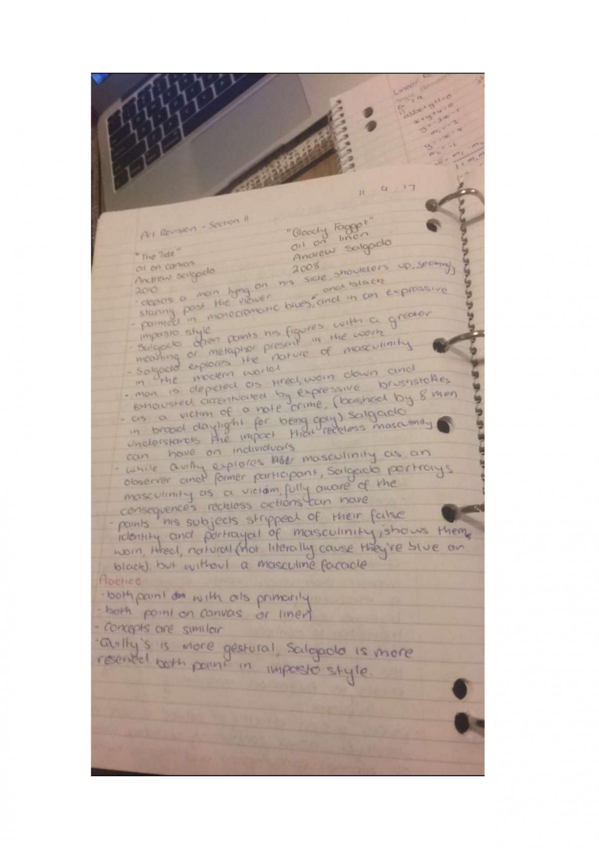 Visual Art Notes for Section 2 (Extended Response) On Ben Quilty and Andrew Salgado - Page 15