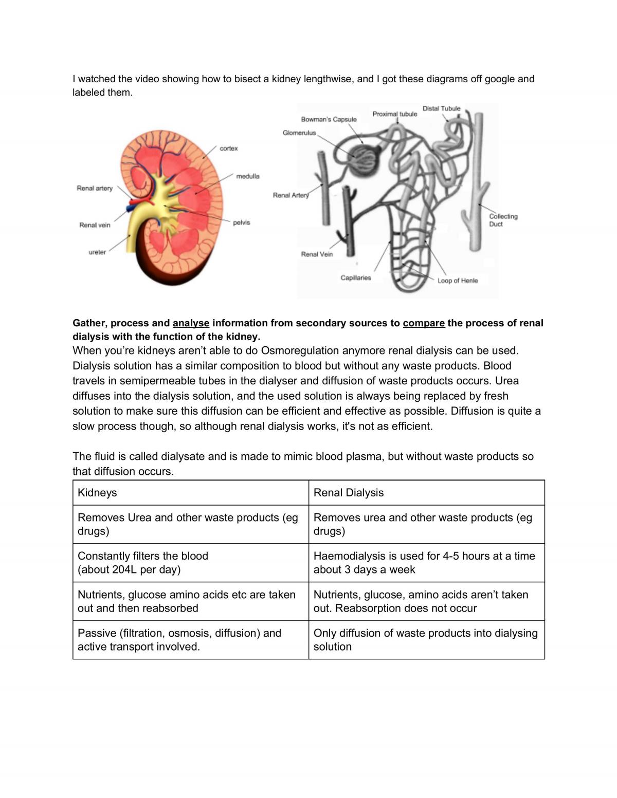 Maintaining a Balance Notes - Page 15