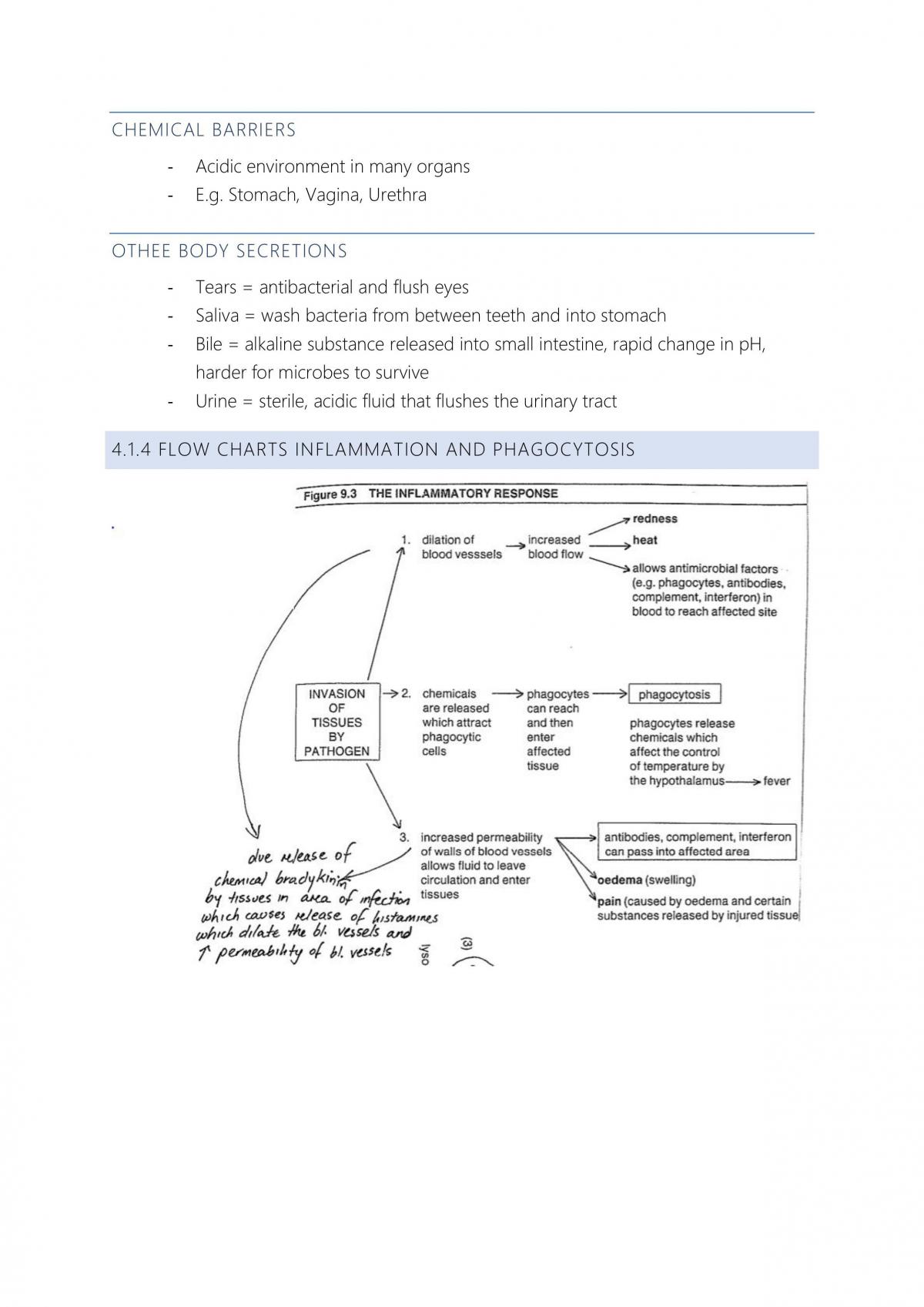 Full Biology Revision Notes - Page 120