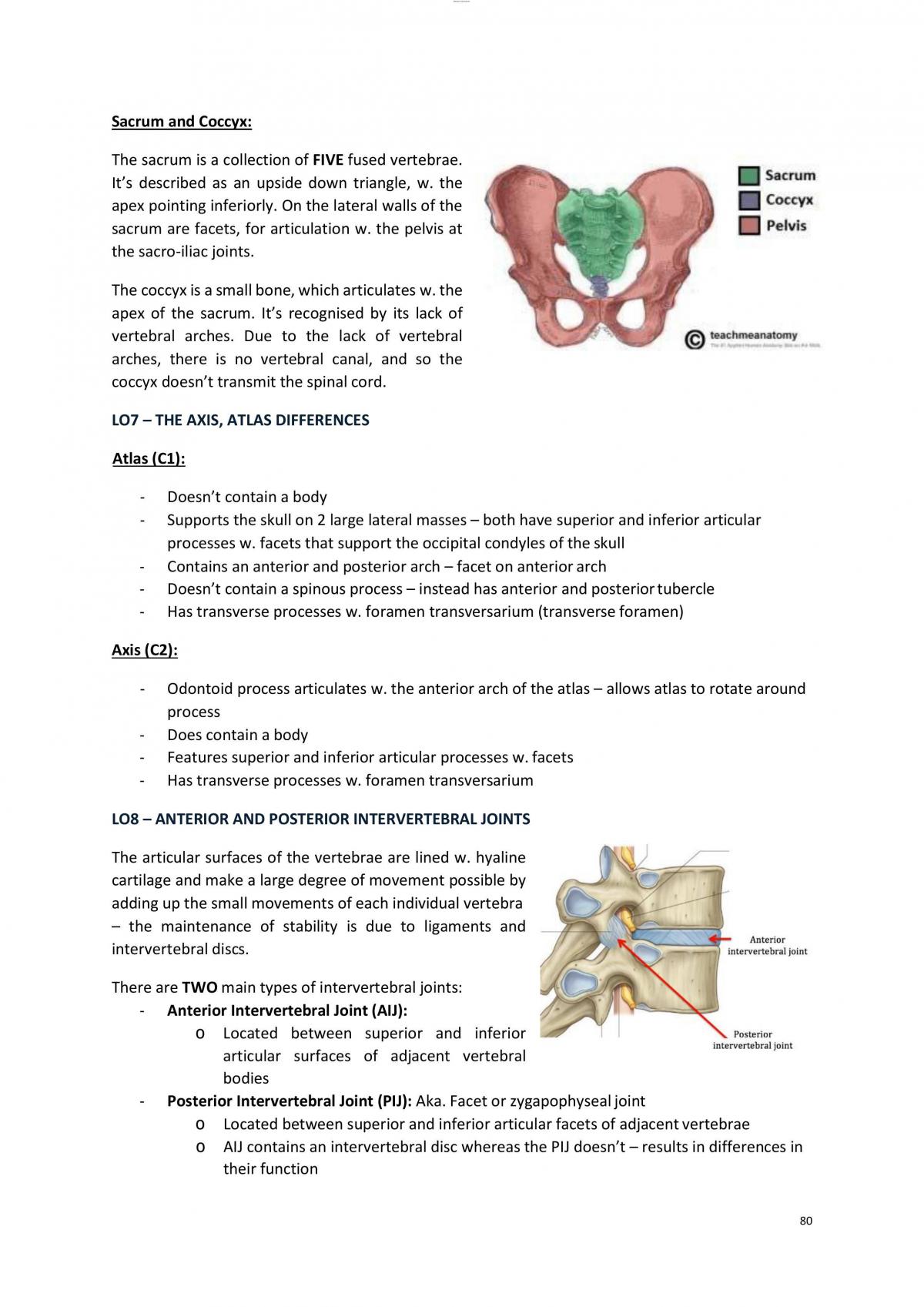 HBS2HAB Summary Notes, HBS2HAB - Human Anatomy B - LaTrobe