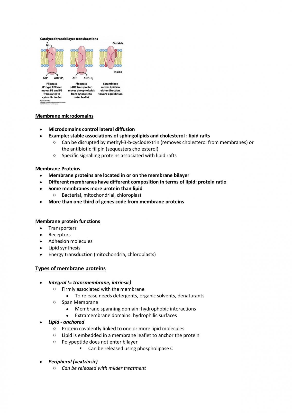 Module 2 - Full Notes Mid Semester - BIOL2200 - Page 18