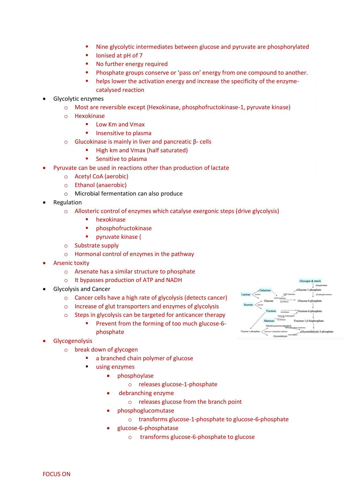 Exam Revision Notes for BCCB2000 - Page 39