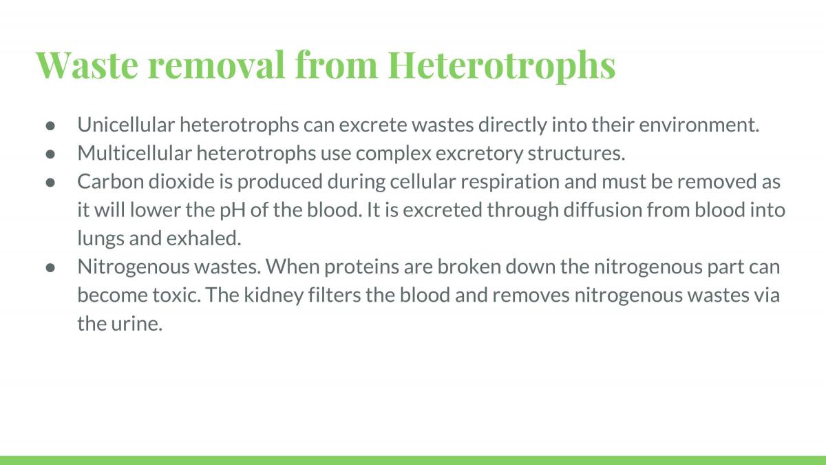 Biology, Year 11 2018 Module 1 Notes - Page 64