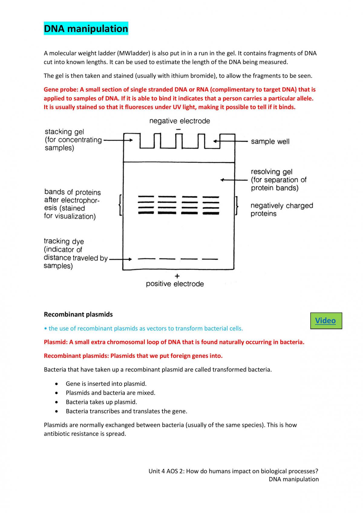 Full Biology Unit 4 Notes - Page 24
