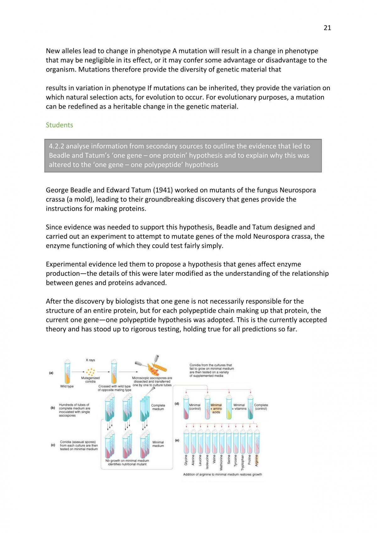 Full Blue print of Life Notes - Page 21