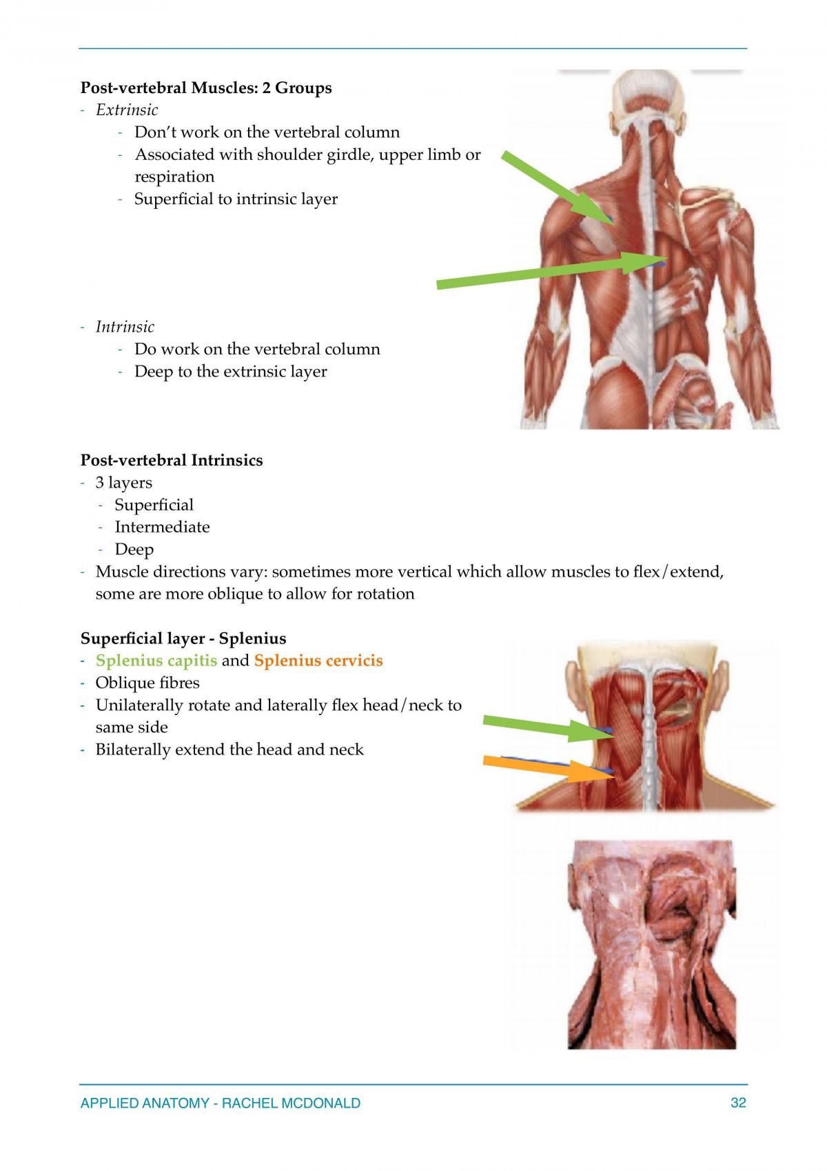 Applied Anatomy Summary Weeks 1 - 4  - Page 32