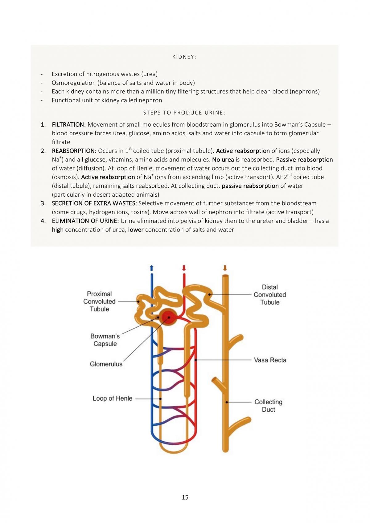 New Syllabus 2018 Module 1 Full Outcomes Notes - Page 15