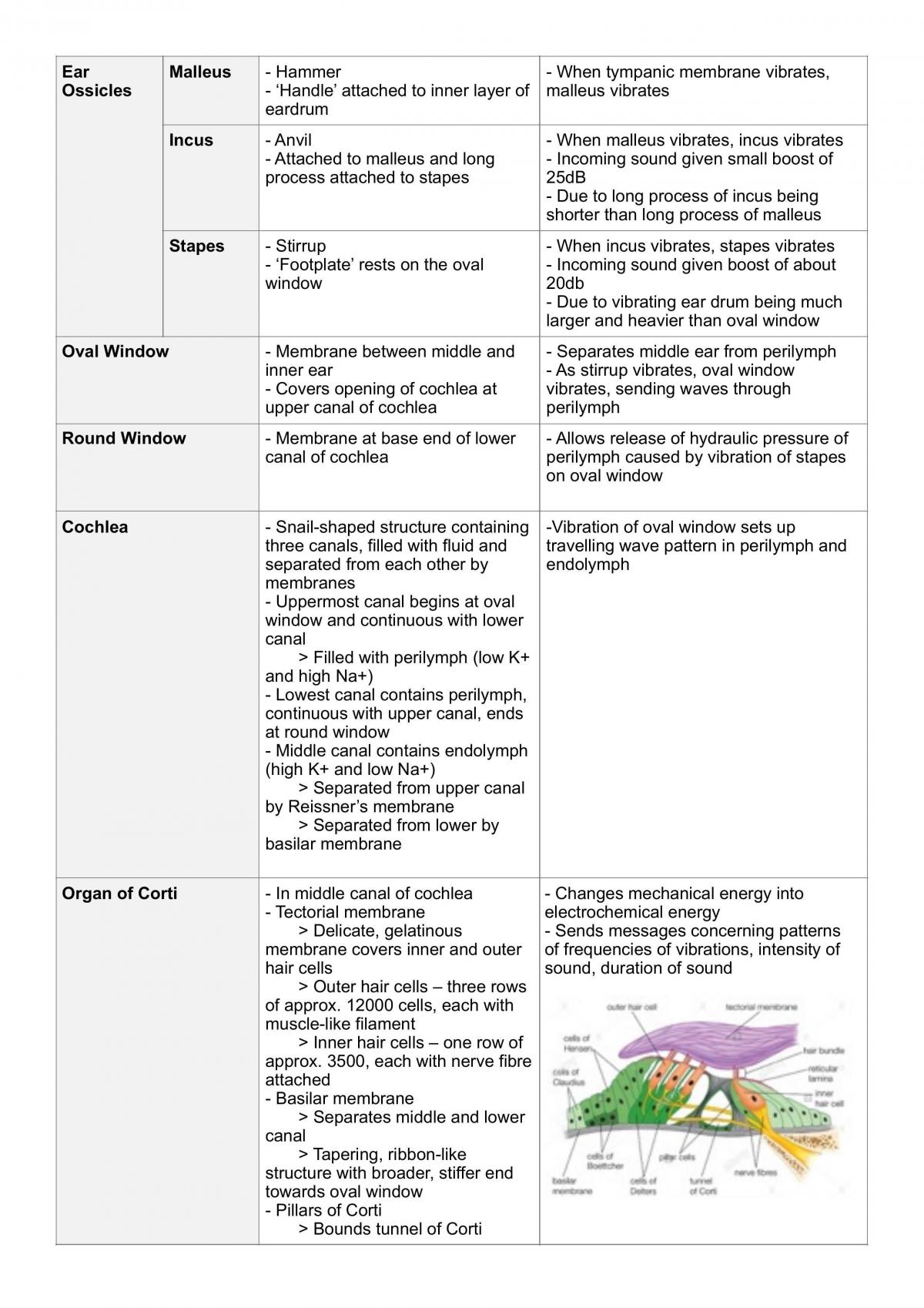 Notes- Communication - Page 15