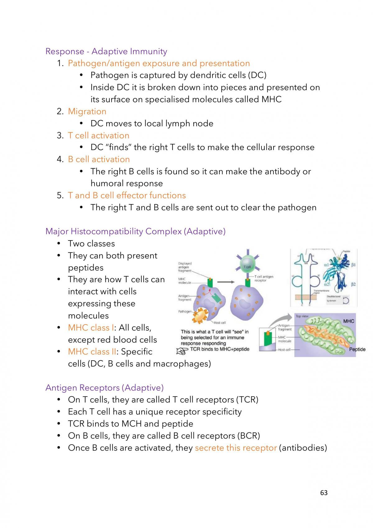 BIO1022-Notes - Page 63