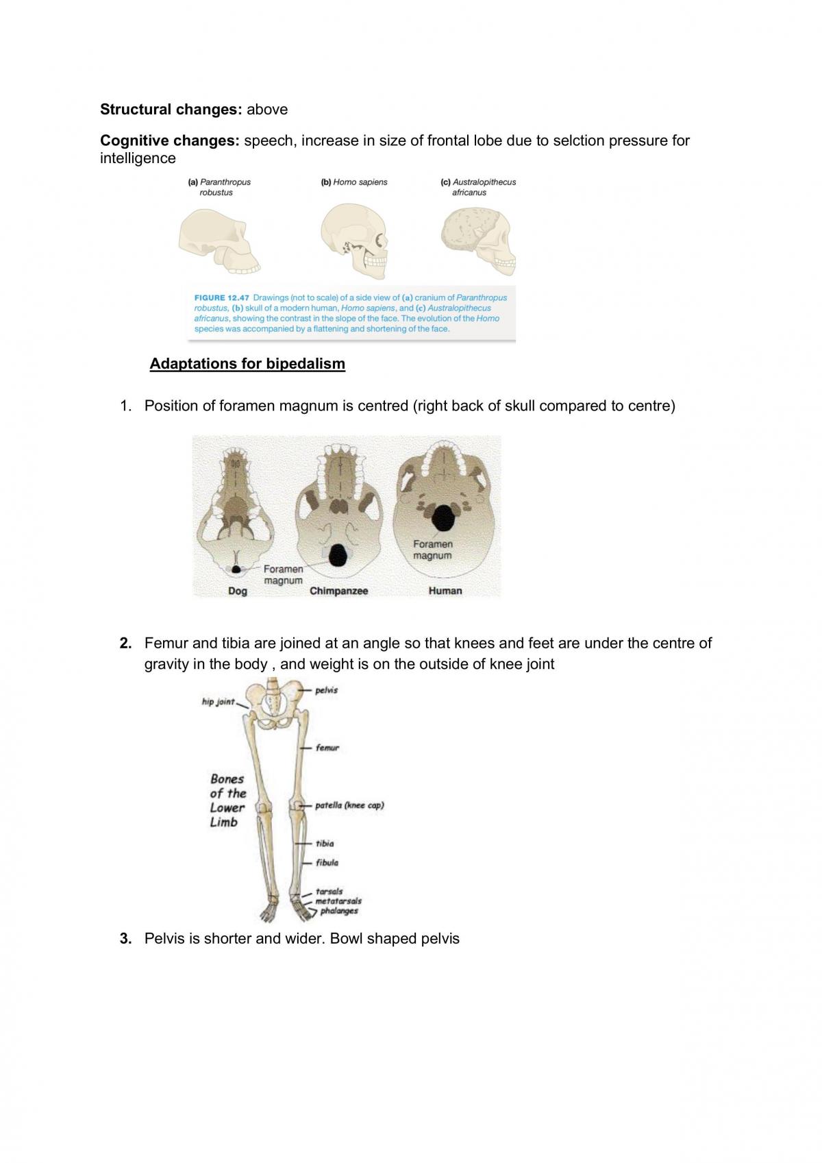 Biology Notes - Page 42