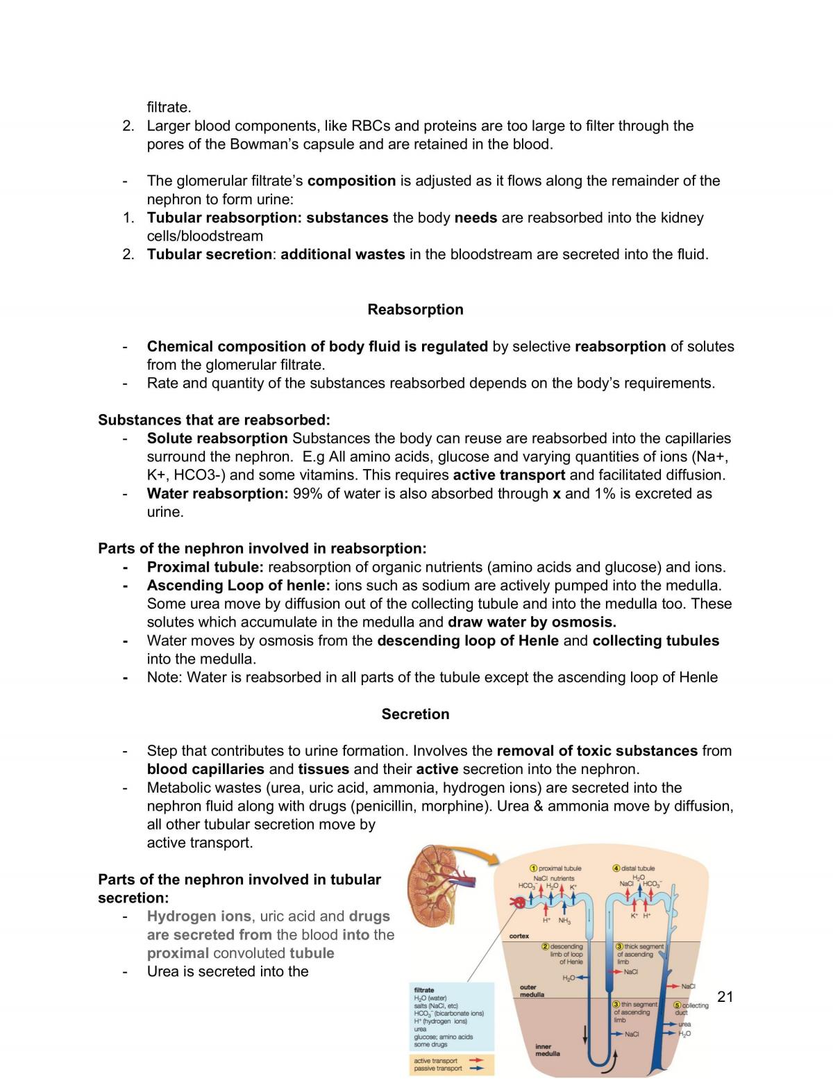 Maintaining a Balance Notes - Page 21