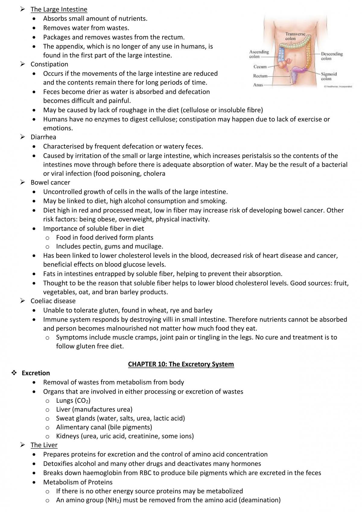 Human Biology Unit 1 Notes - Page 21