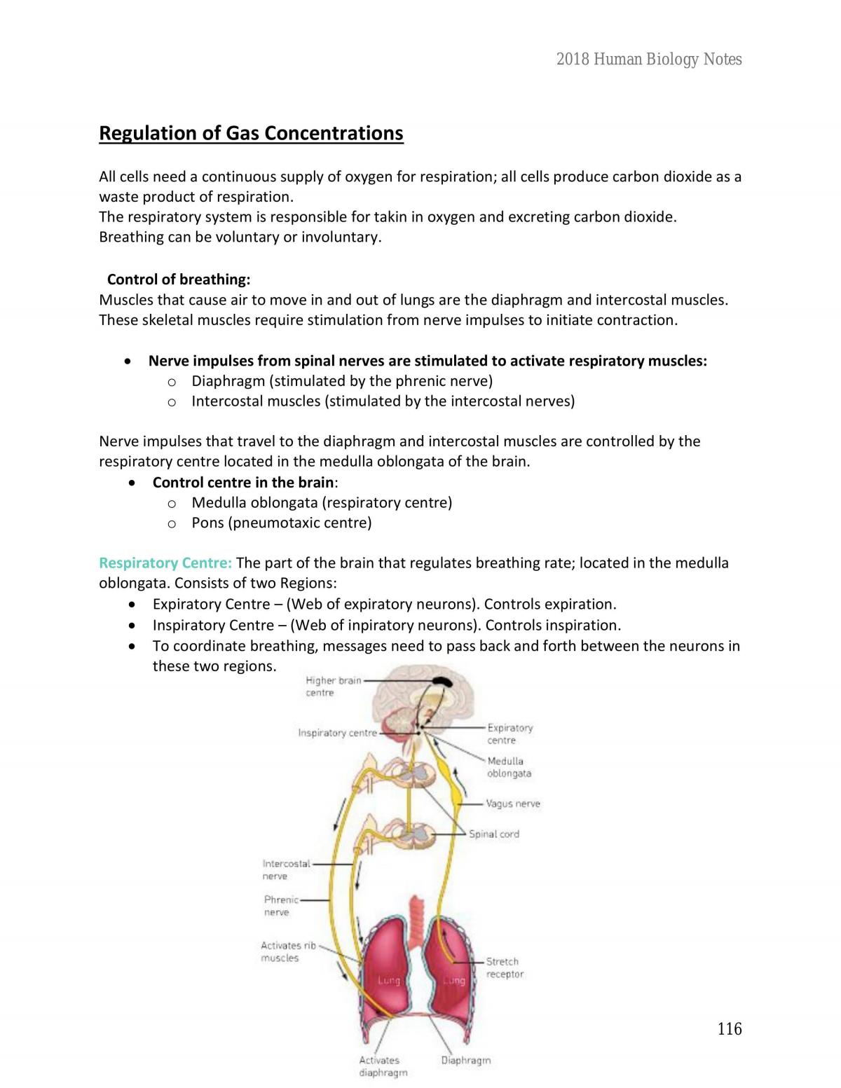 Human Biology Units 3 & 4 Notes - Page 116