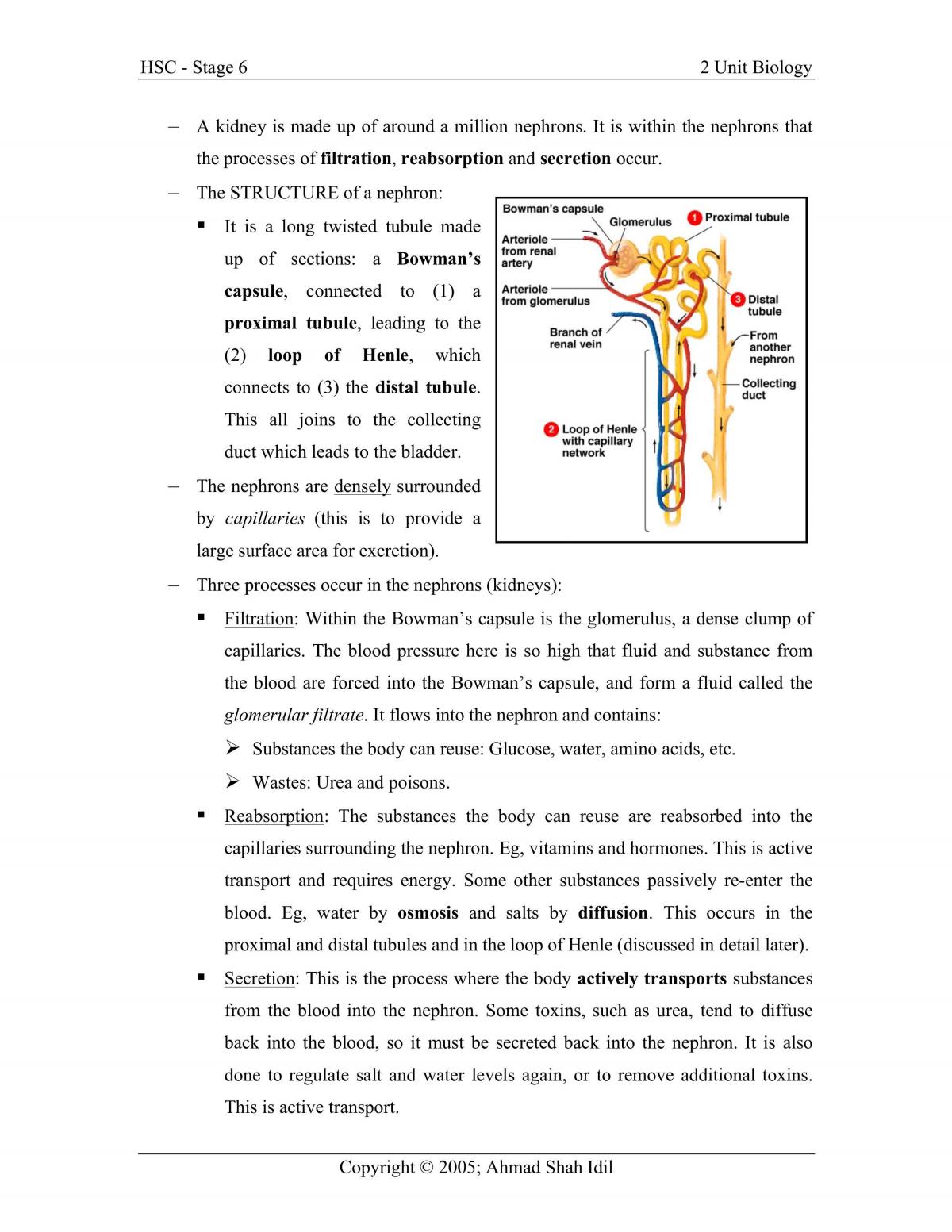 Maintaining a Balance (Complete Study Notes) - Page 20