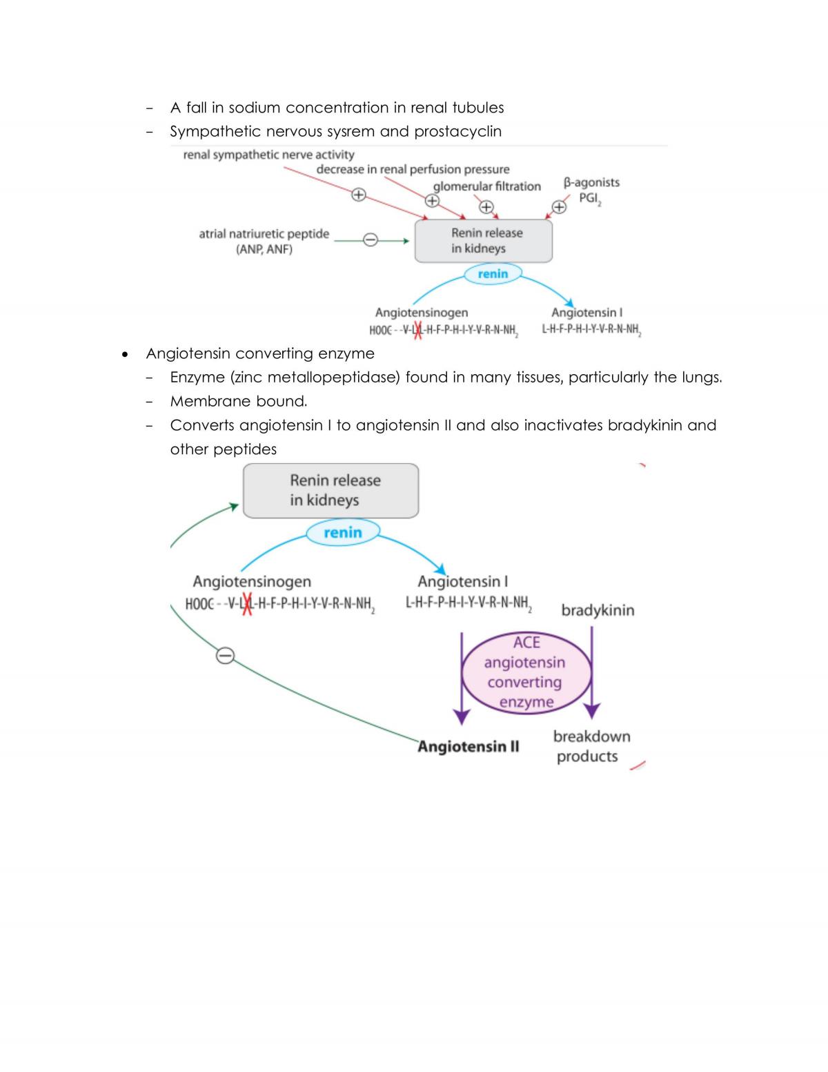 BMED2403 Lecture Notes - Page 75