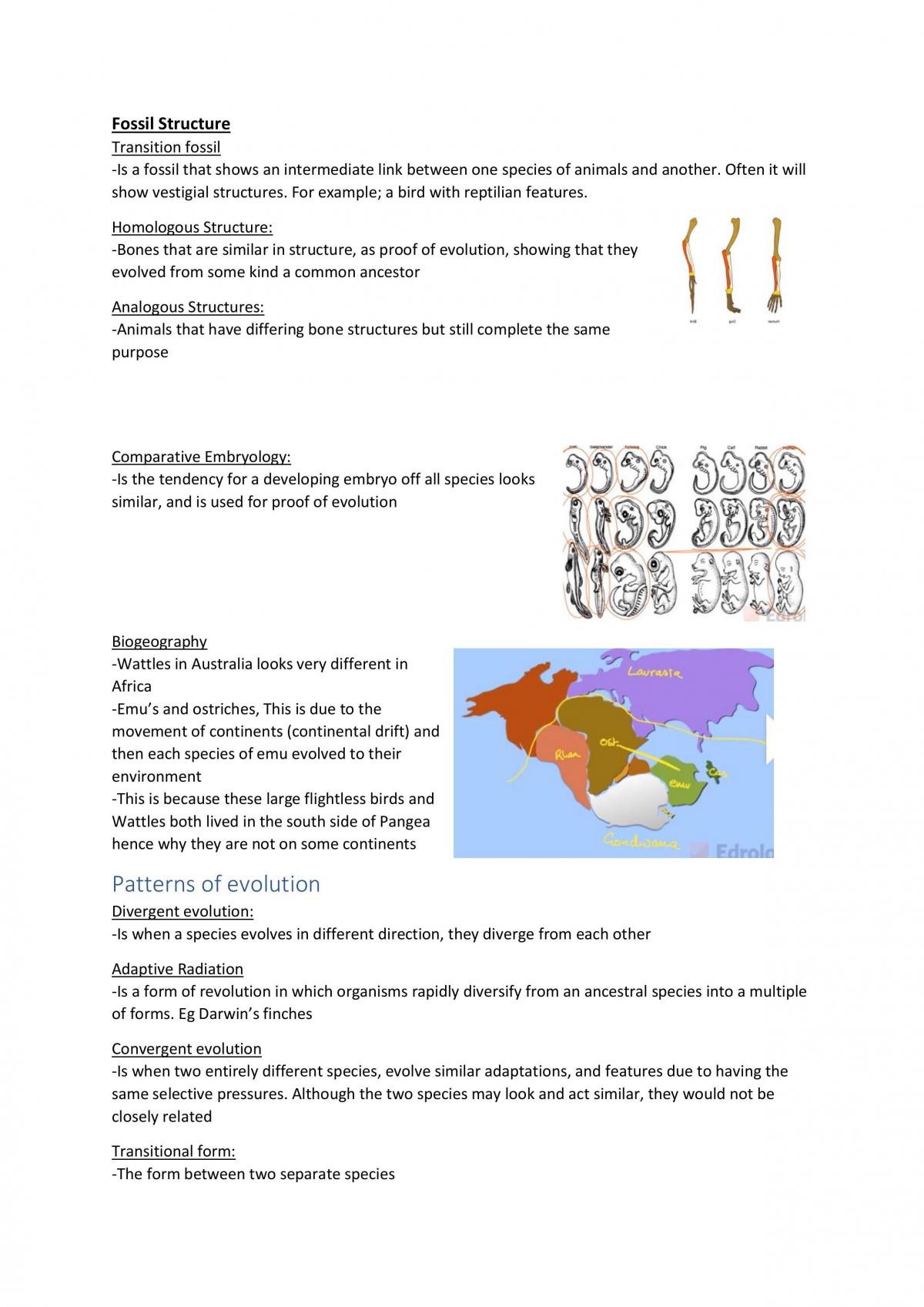 Biology Notes final - Page 31