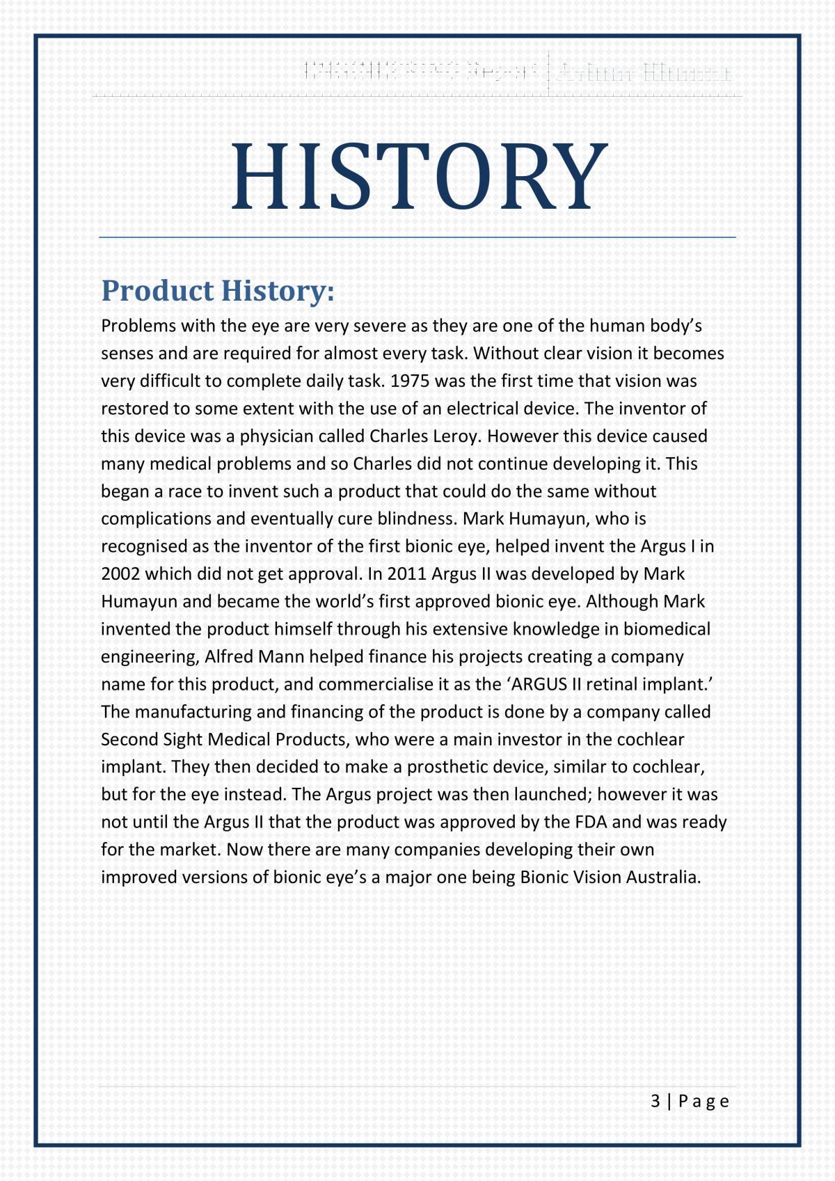 Engineering Report Bionic Eye - Page 3