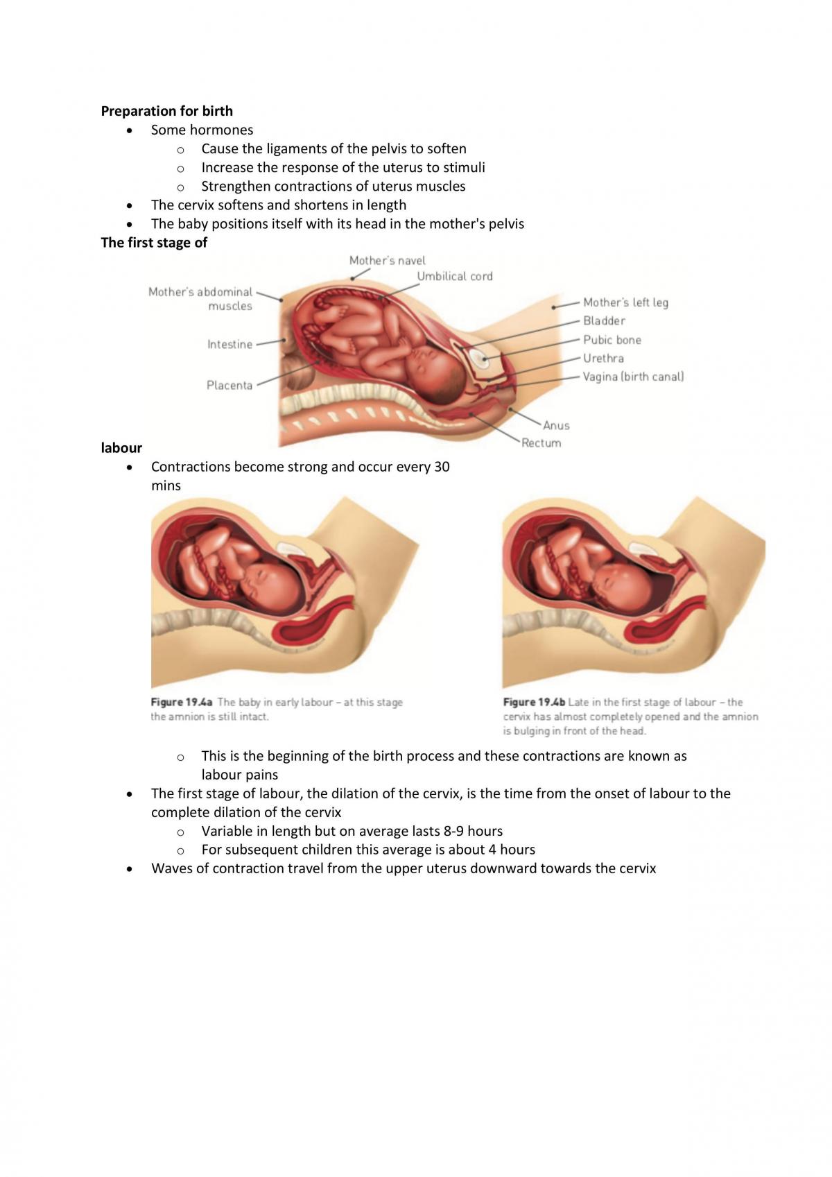 Human Biology Unit 1 Complete Notes - Page 37