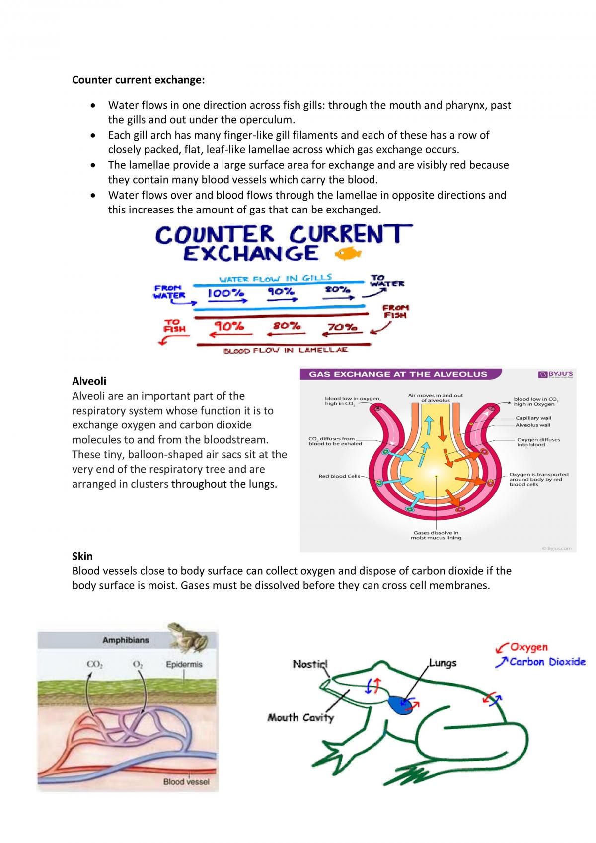 Unit 2 biology exam notes  - Page 12
