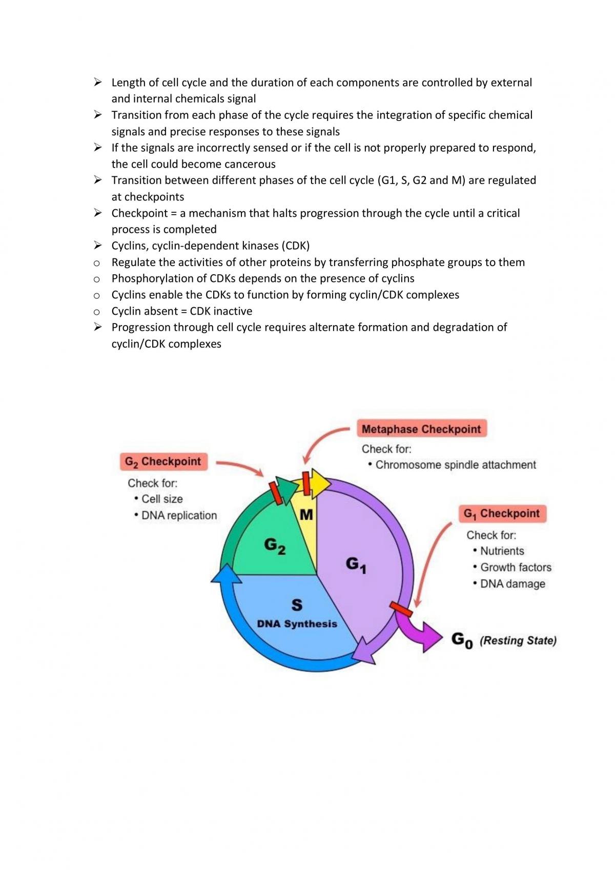 Notes for SACE Biology - Theme 2: Cells - Page 39