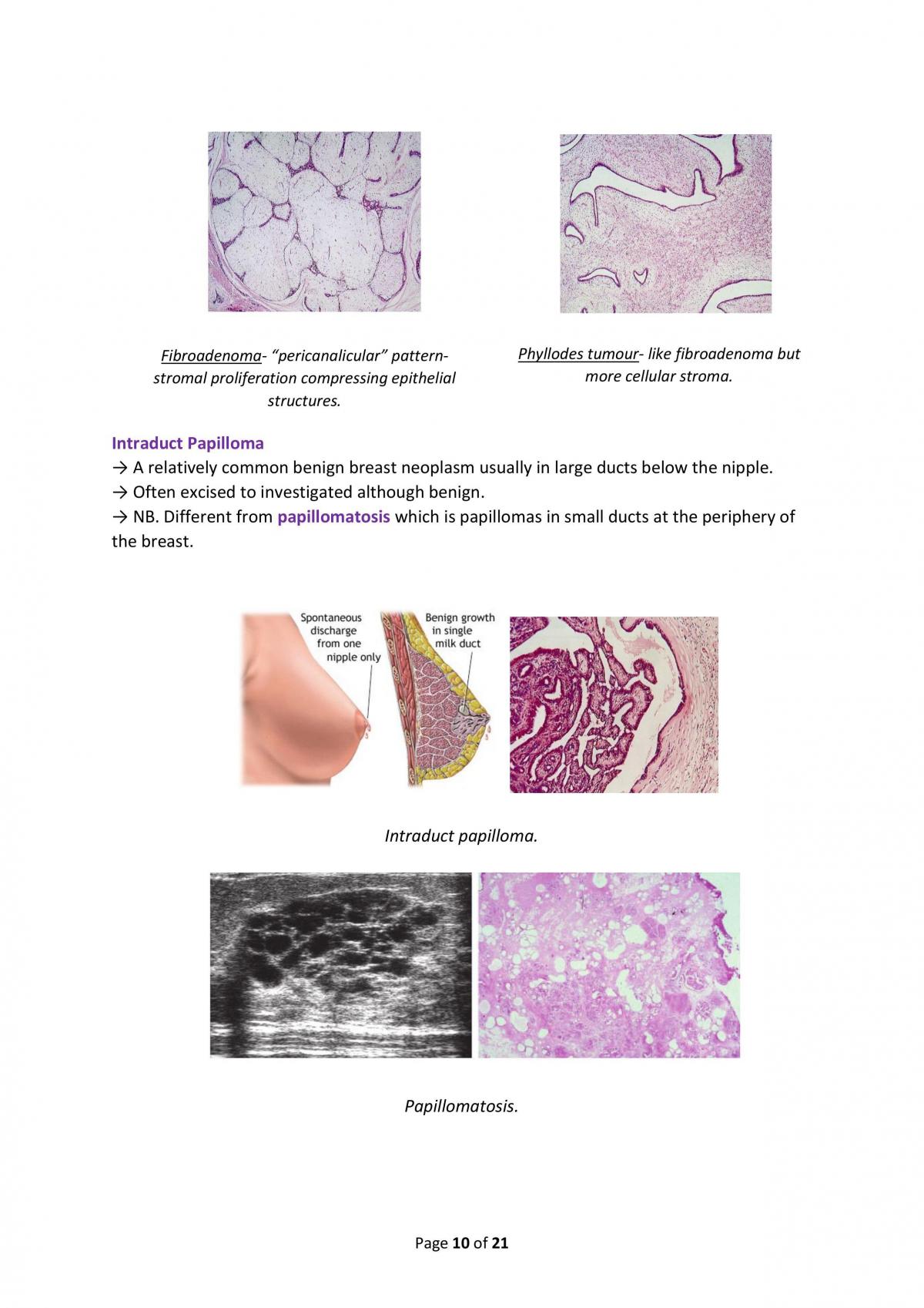 Breast Pathology Notes - Page 10