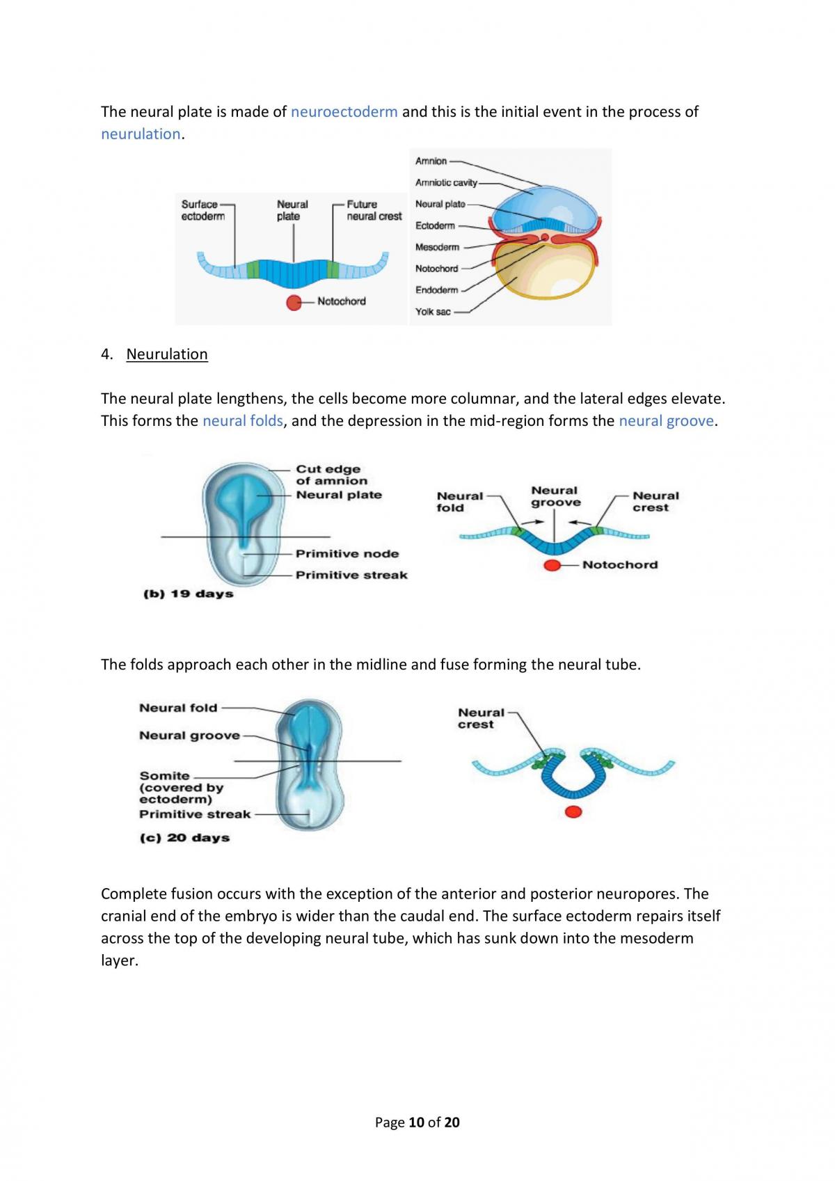 Neurology - Page 31