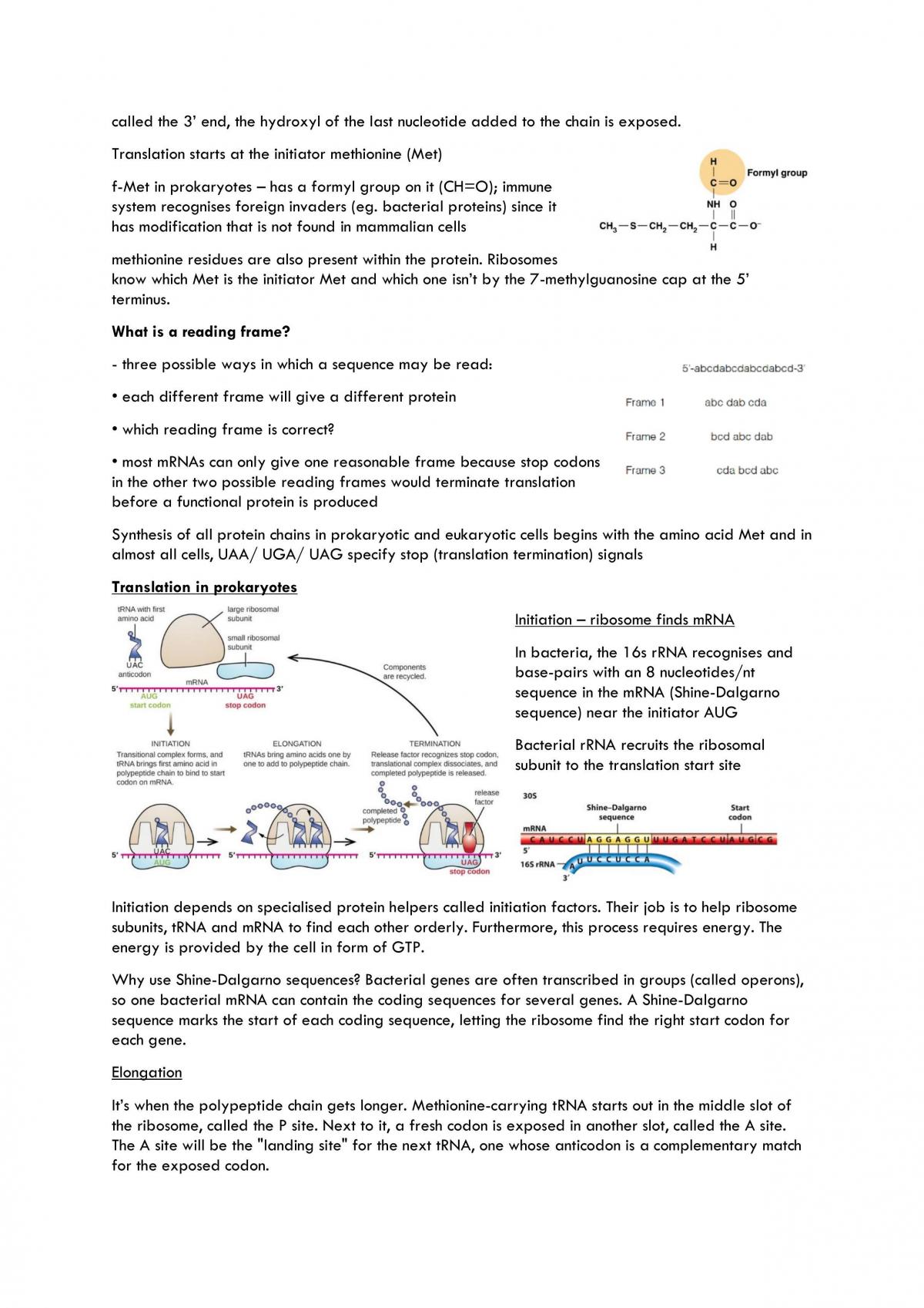 Molecular Biology note - Page 22